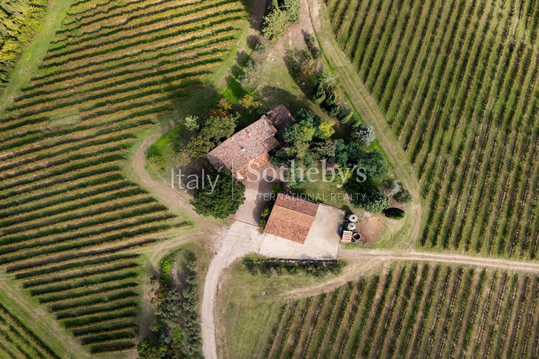  Enchanting agricultural and wine estate on the hills of Romagna - 物件實景