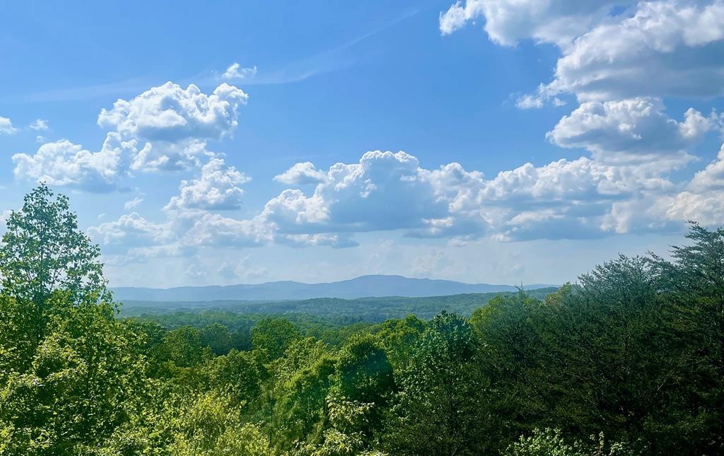 Mineral Bluff, Georgia, 30559, United States, 3 Bedrooms Bedrooms, ,3 BathroomsBathrooms,Residential,For Sale,1986292