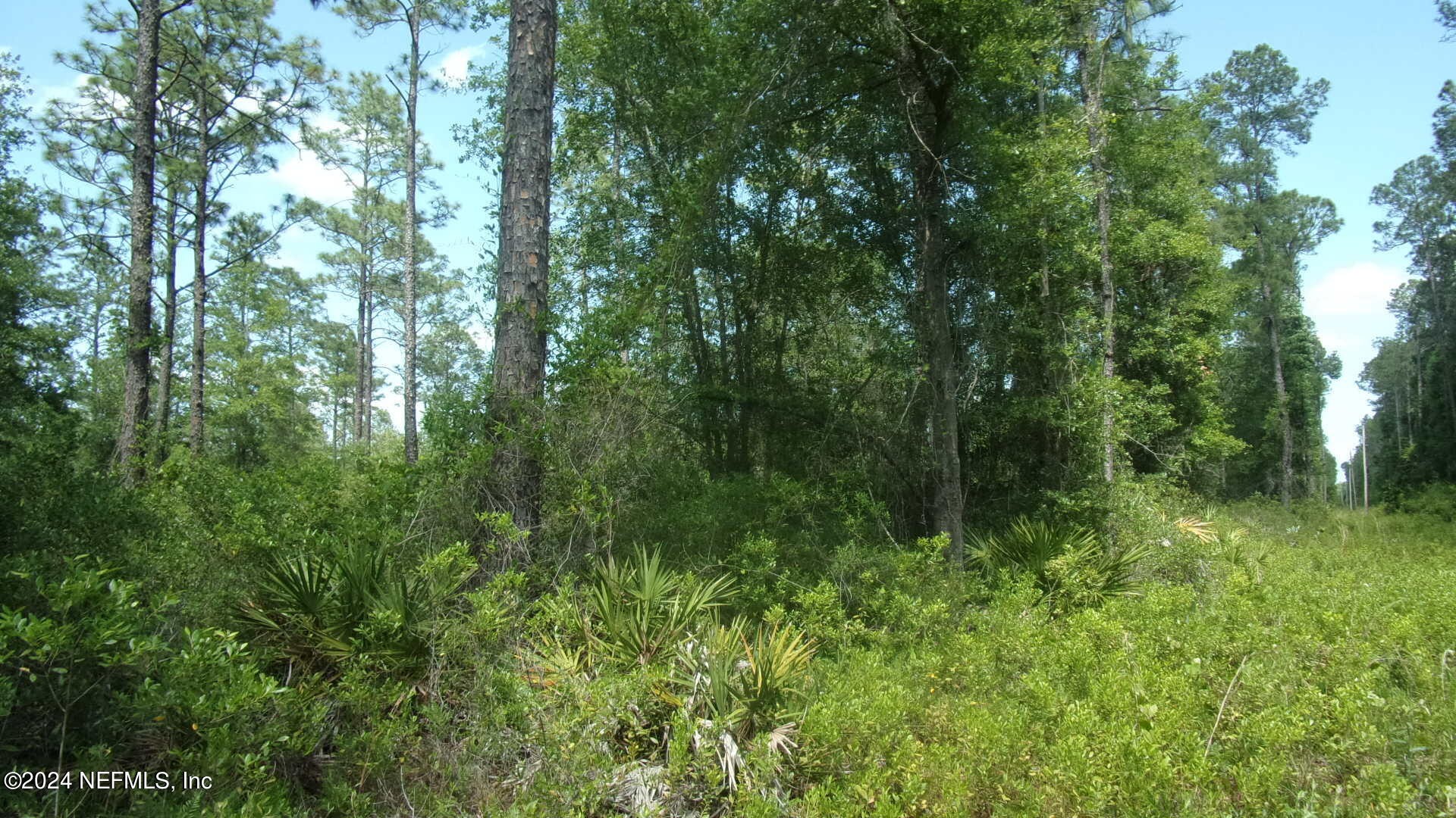 Palatka, Florida, 32177, United States, ,Residential,For Sale,1924559