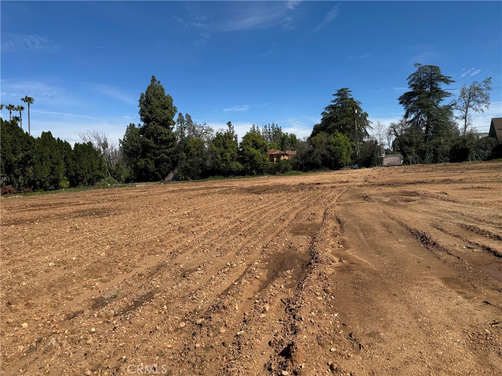 Encino, California, 91316, United States, ,Land,For Sale,1997004