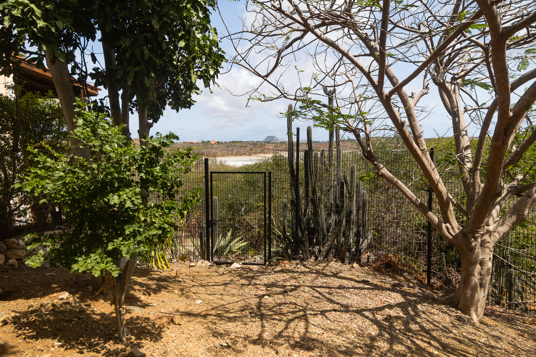  Seru Bottelier 28 - 物件實景