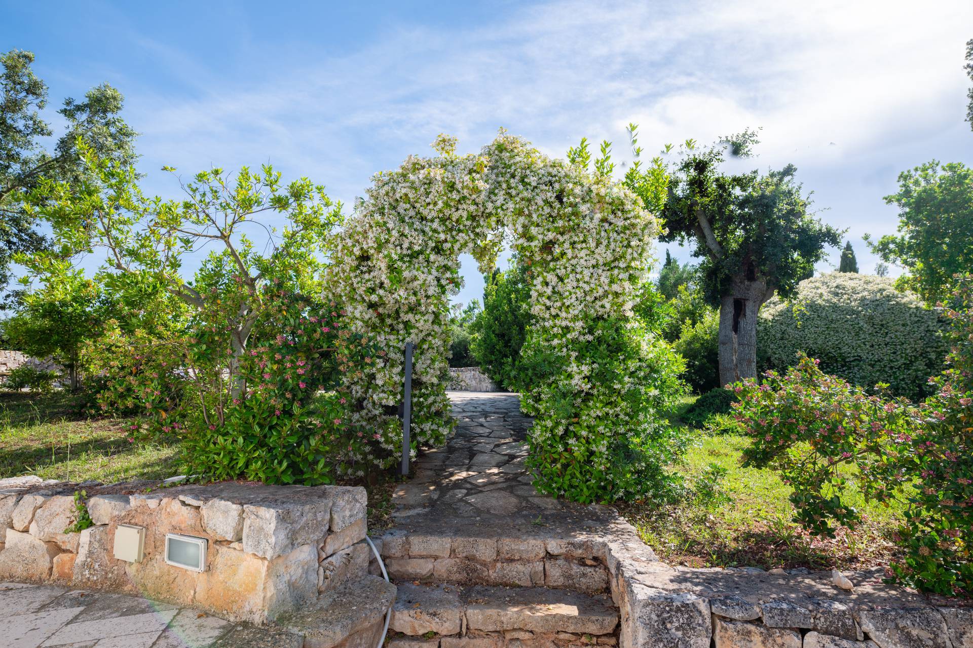 Contrada Martellotti, Ostuni, Brindisi, 72017, IT, 6 Bedrooms Bedrooms, ,6 BathroomsBathrooms,Residential,For Sale,Contrada Martellotti,1611376