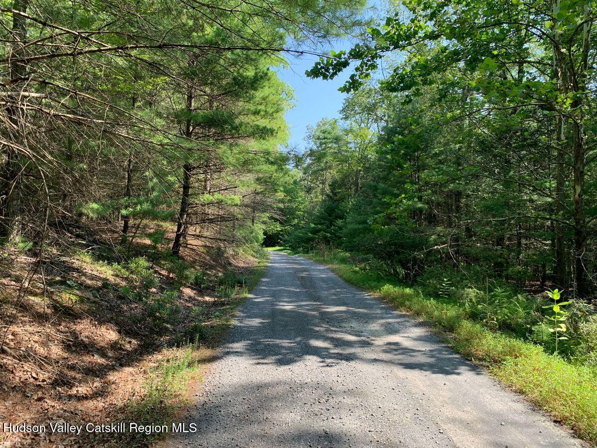 Woodstock, New York, 12498, United States, ,Residential,For Sale,1918259