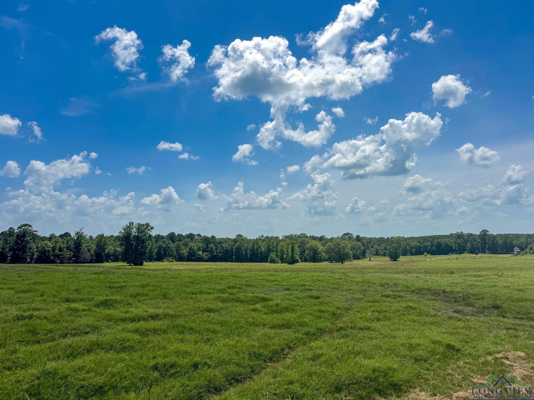 Linden, Texas, 75563, United States, 3 Bedrooms Bedrooms, ,3 BathroomsBathrooms,Residential,For Sale,1974630