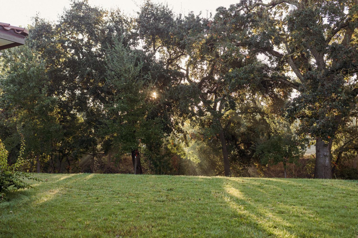 Modesto, California, 95357, United States, 4 Bedrooms Bedrooms, ,4 BathroomsBathrooms,Residential,For Sale,1976586