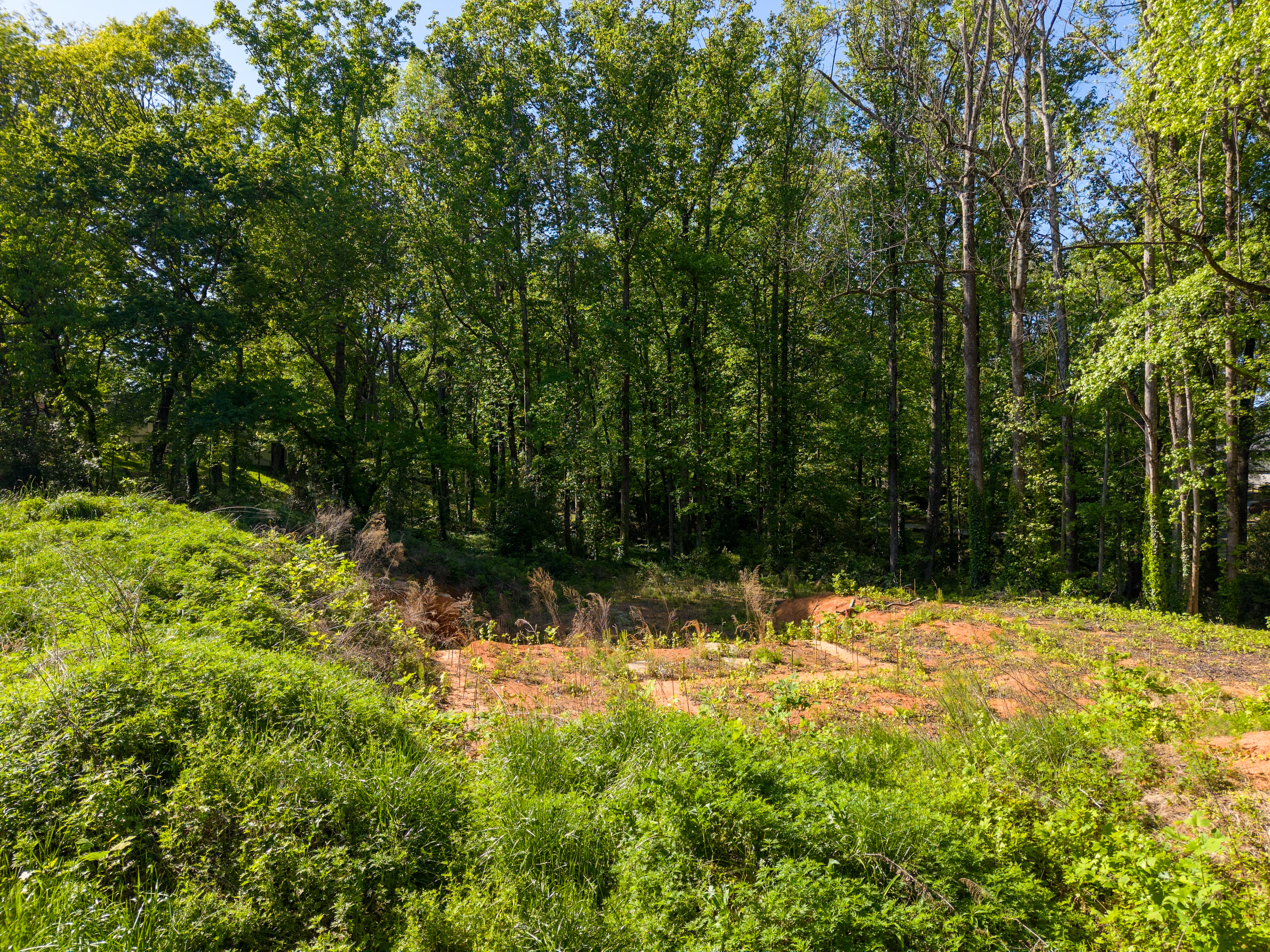  6 Stratton Place, Greenville, SC 29615 - 物件實景