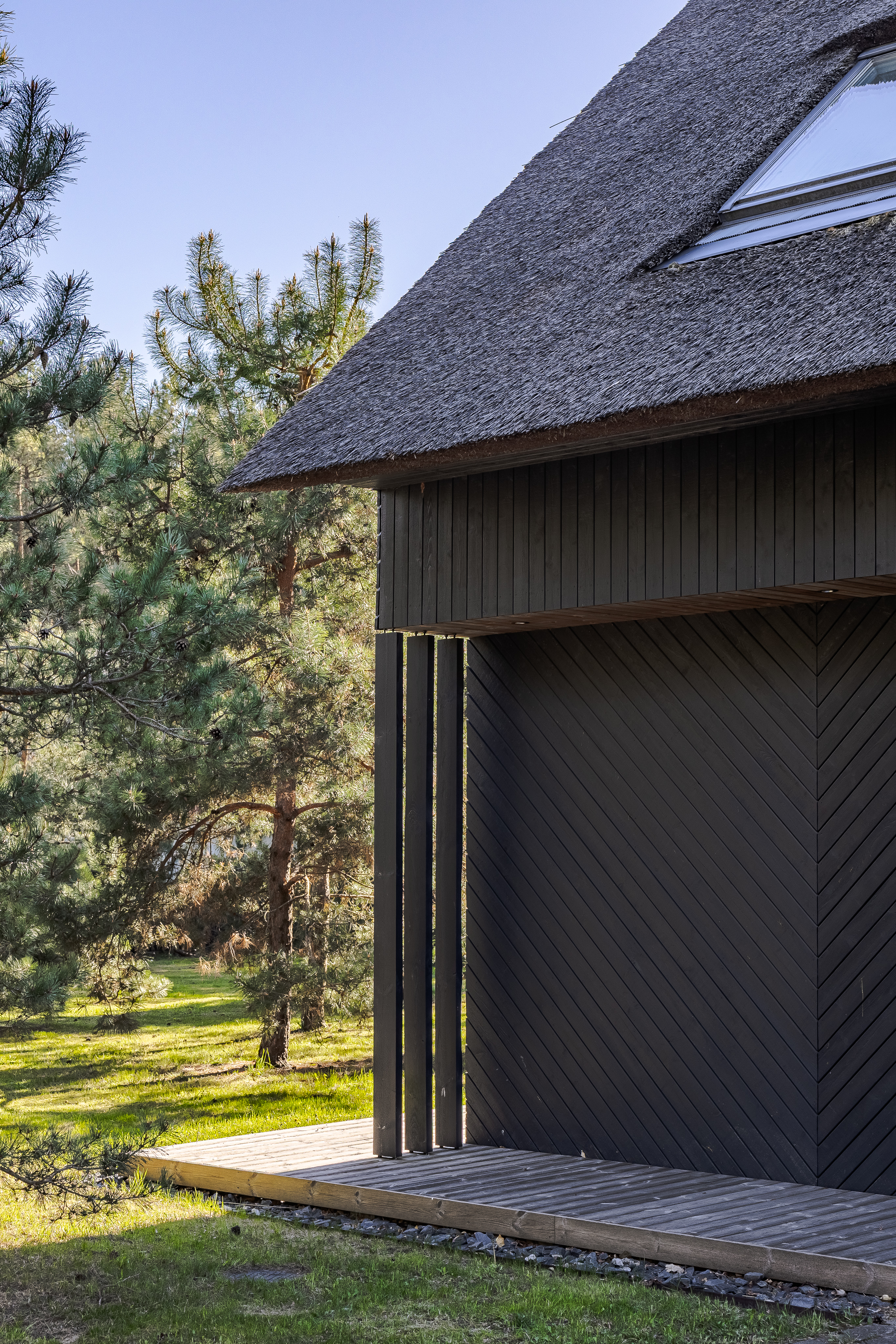  A house by the Baltic Sea surrounded by pines - 物件實景