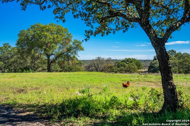 342 Mealy Sage Rd, Harper, Texas, 78631, United States, 4 Bedrooms Bedrooms, ,2 BathroomsBathrooms,Residential,For Sale,342 Mealy Sage Rd,1463716