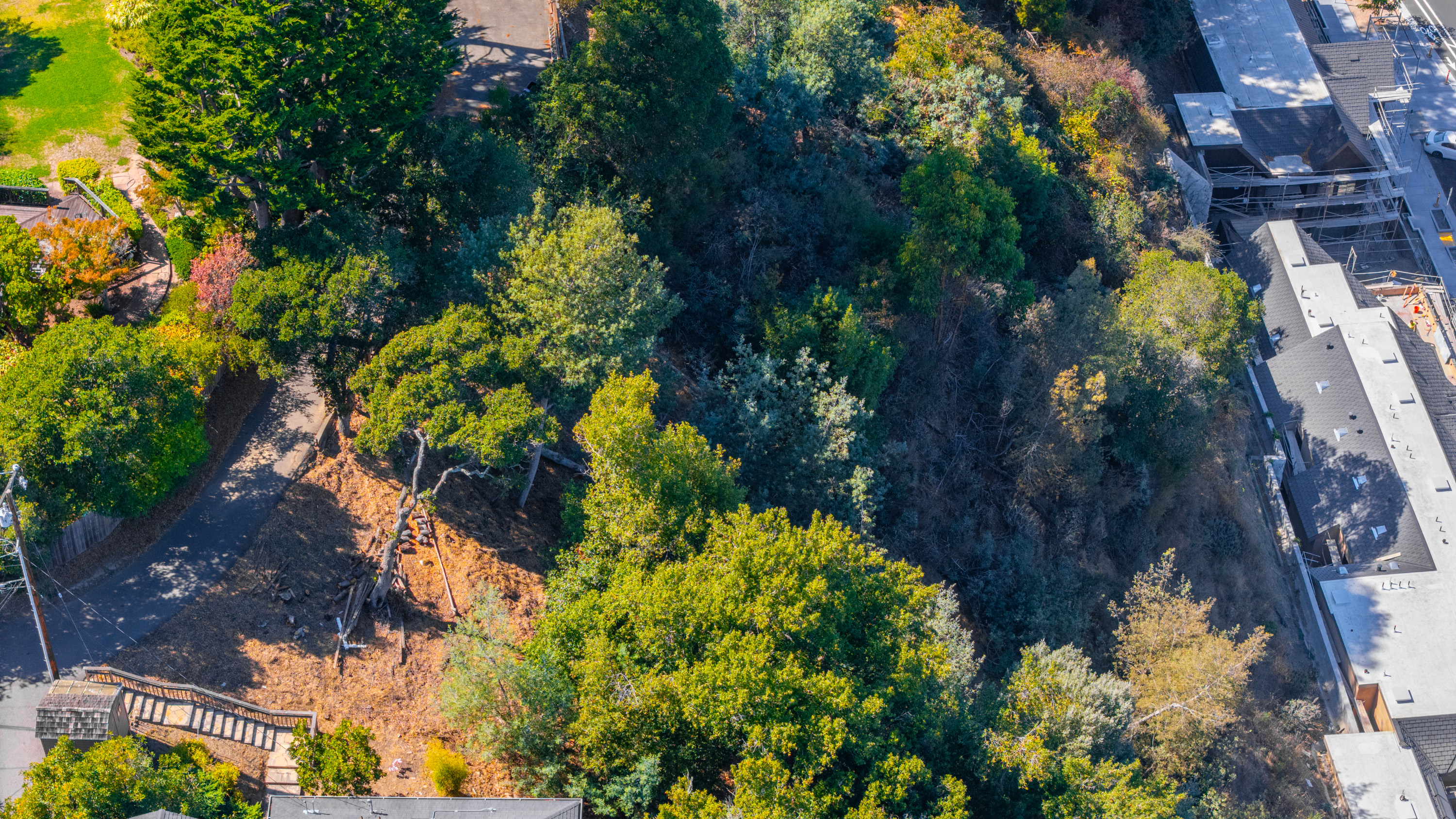  Exceptional Mill Valley Lot with Expired Approved Plans - 物件實景