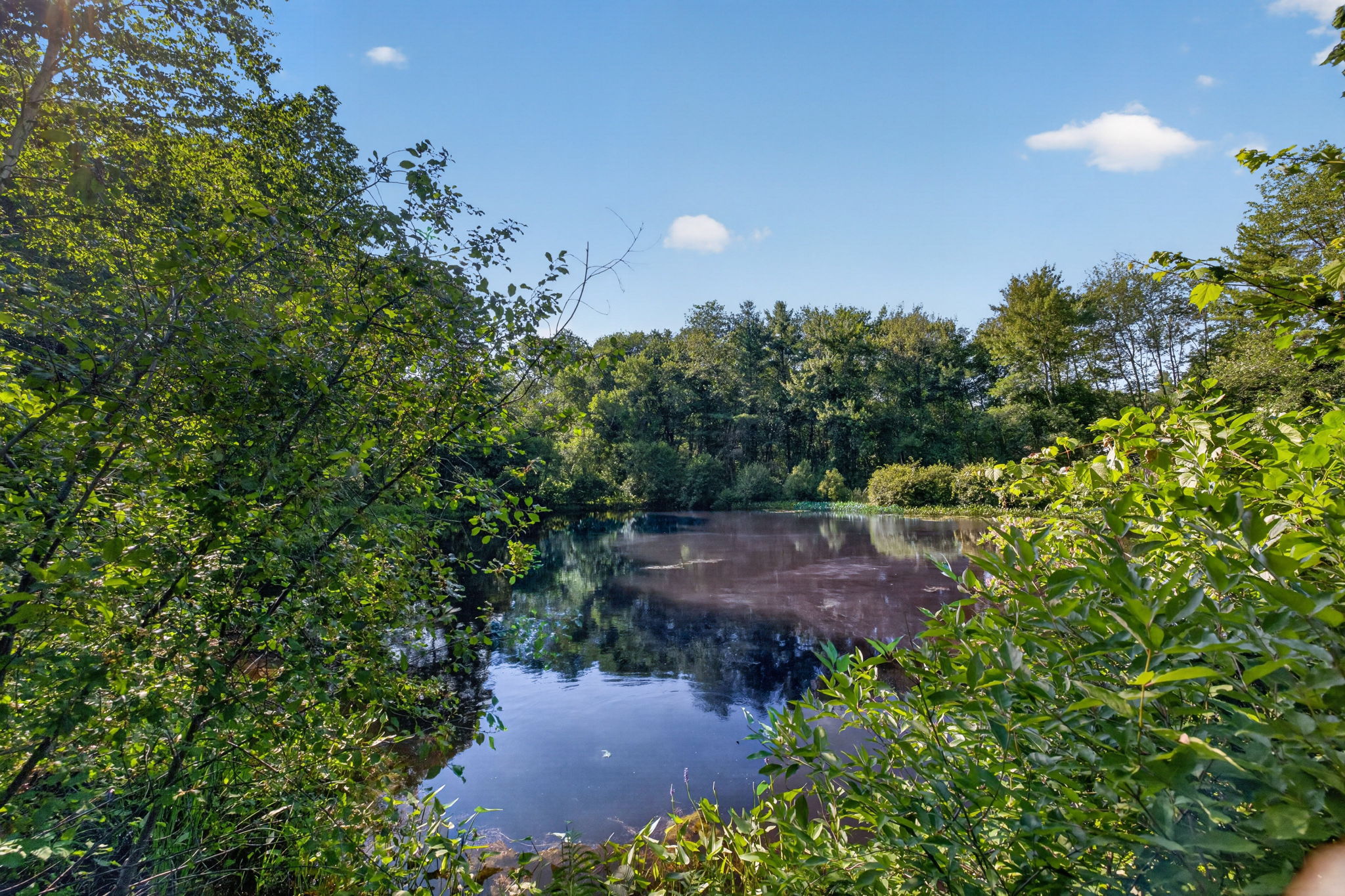 0 Judy Farm Road, Carlisle, MA, 01741 - 物件實景