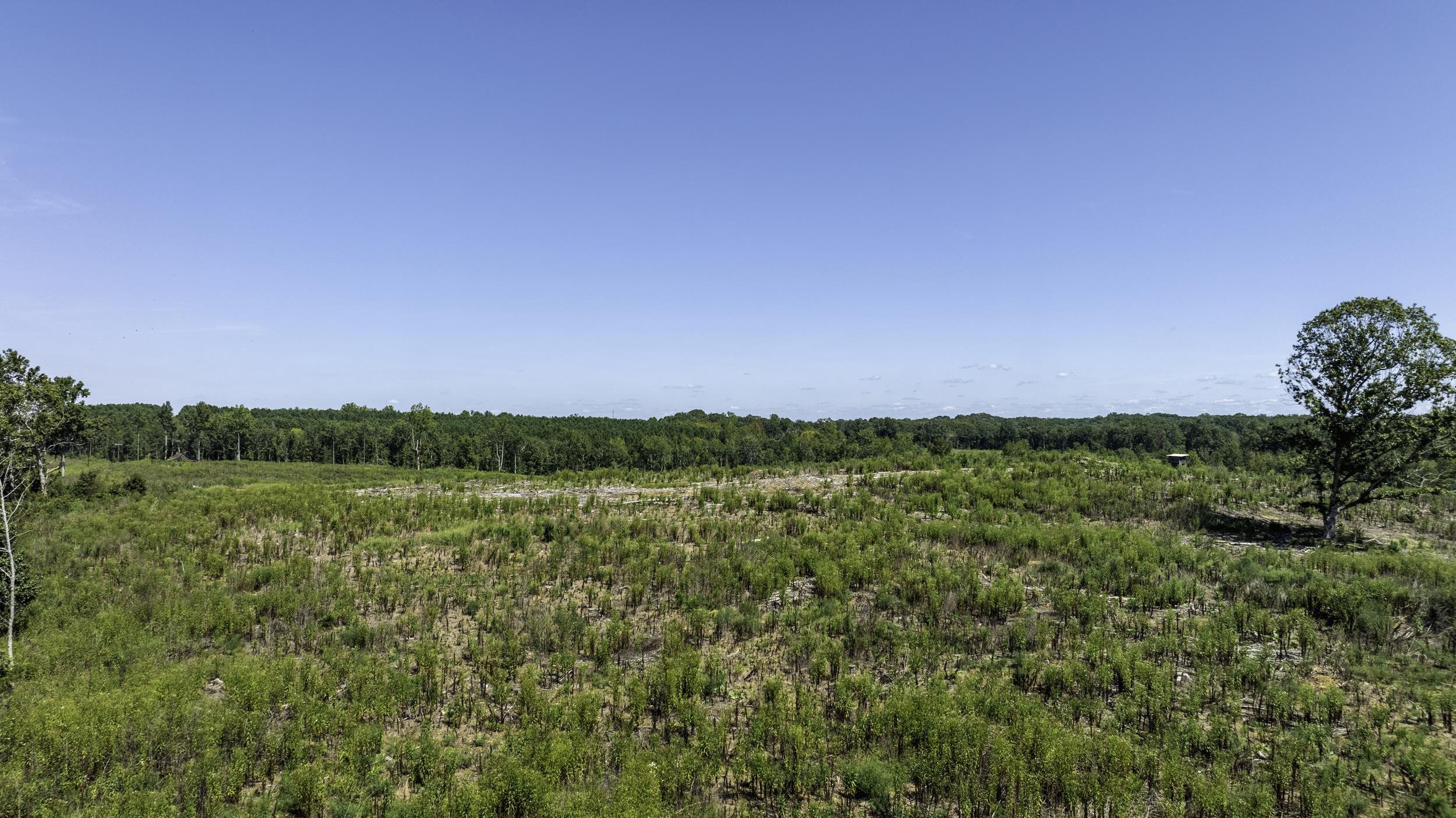 Gray Court, South Carolina, 29645, United States, ,Land,For Sale,1979531