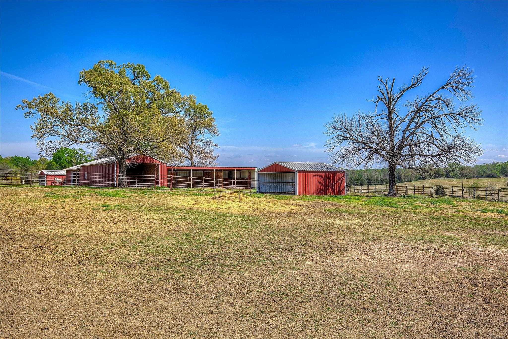 Sulphur Springs, Texas, 75482, United States, 4 Bedrooms Bedrooms, ,3 BathroomsBathrooms,Residential,For Sale,2032755
