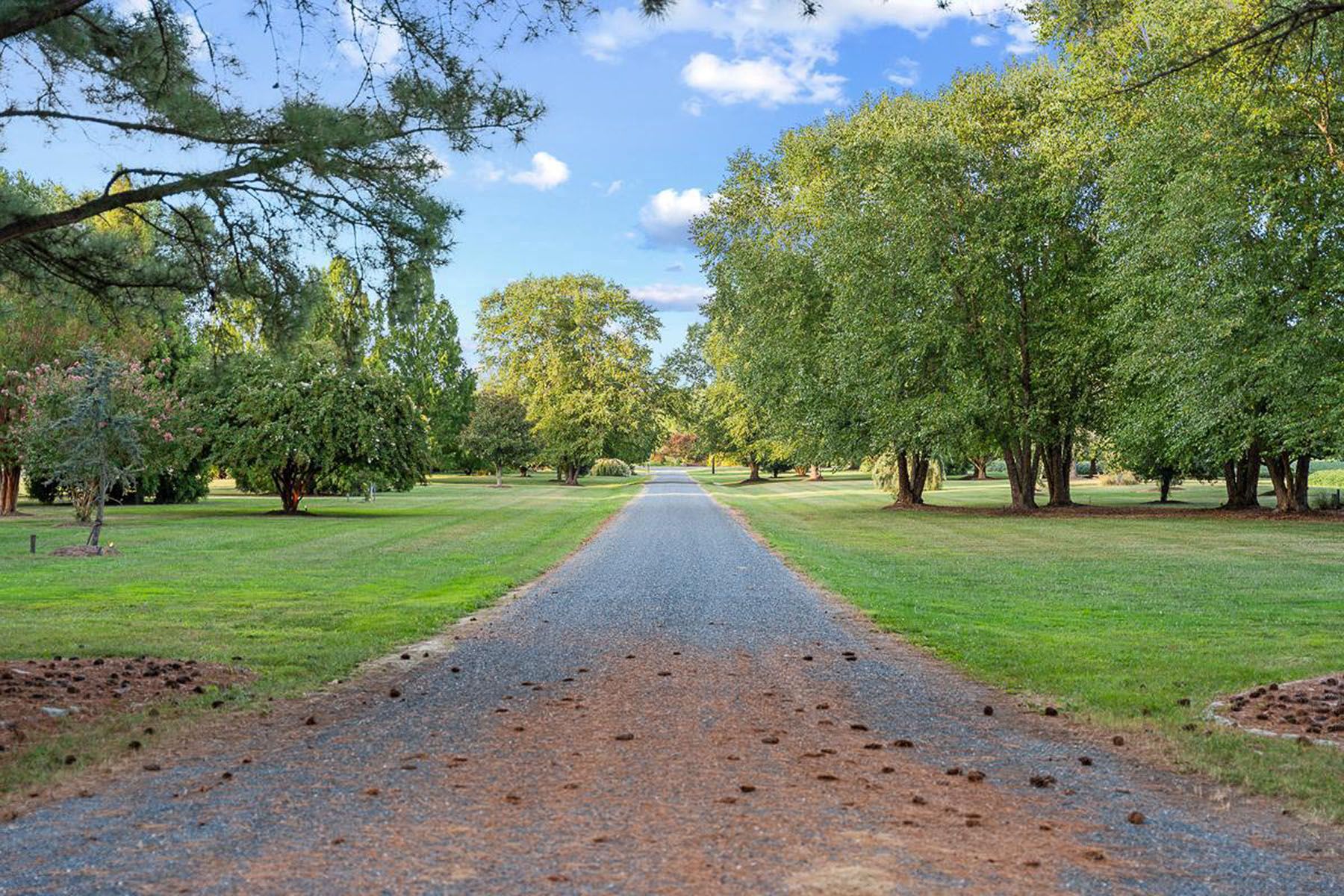  27772 Sharp Road, Easton, MD, 21601 - 物件實景