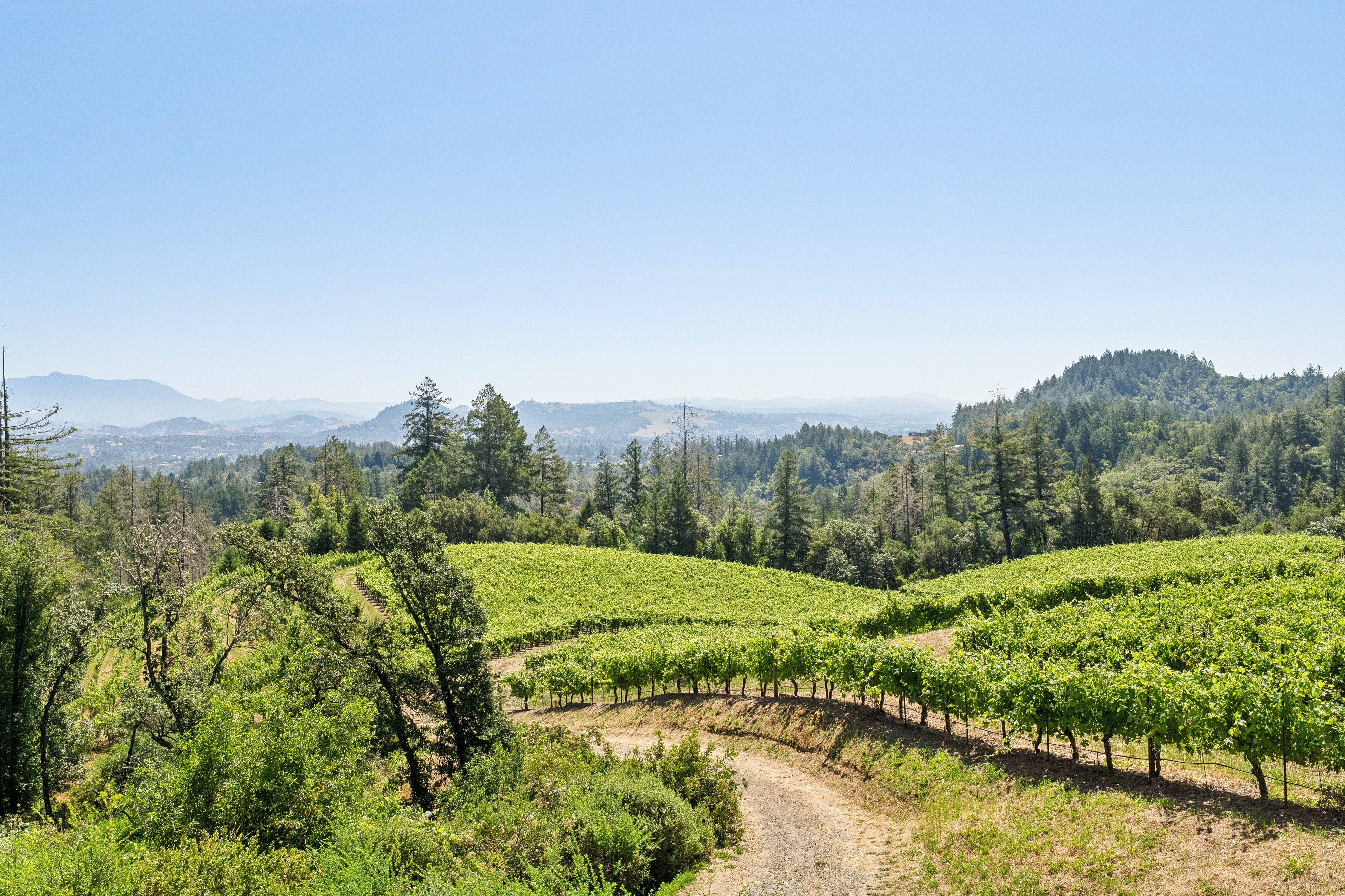  2355 West Dry Creek Road, Healdsburg, CA 95448 - 物件實景