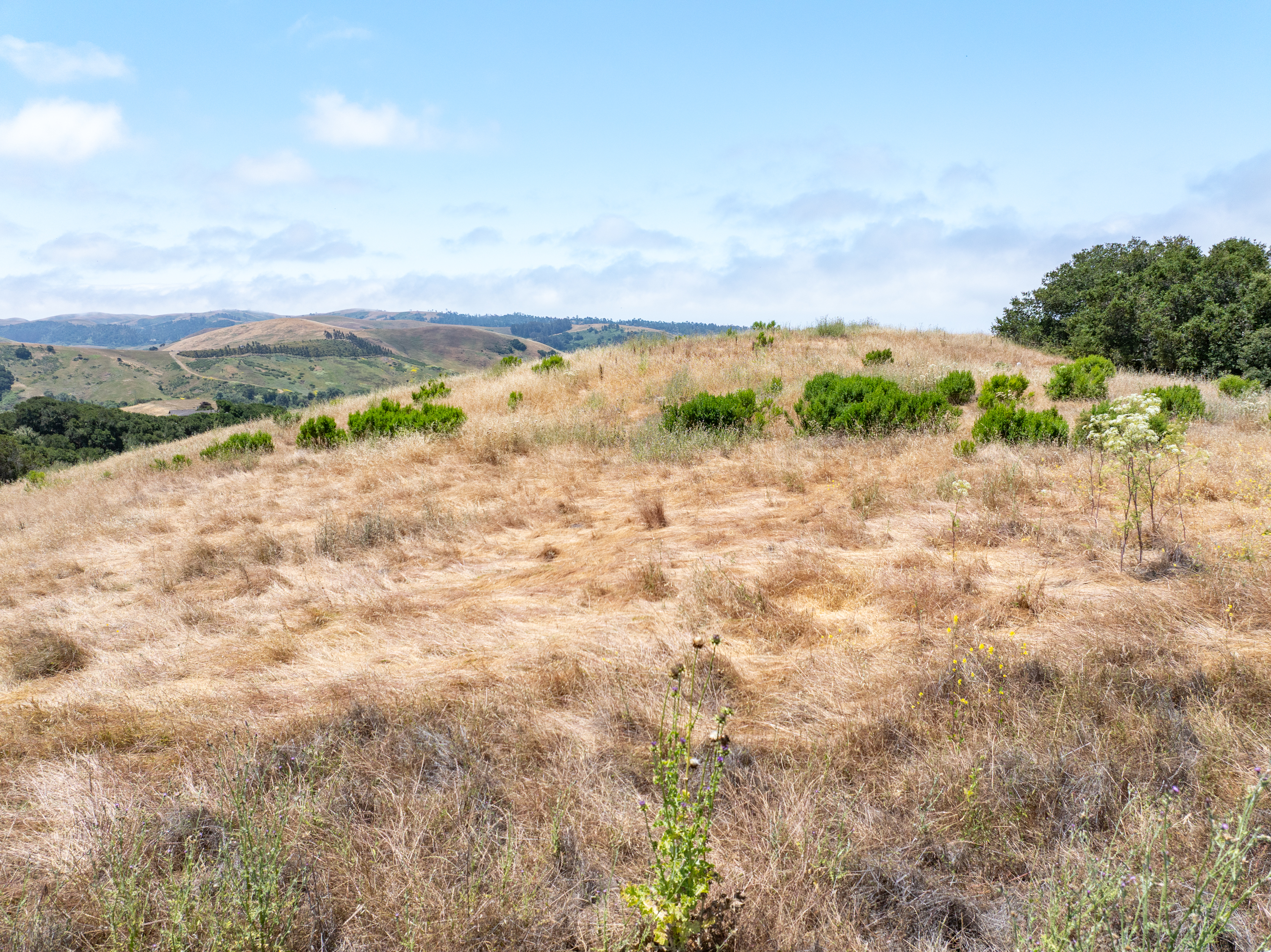  Homesite with Ocean and Mountain Views - 物件實景
