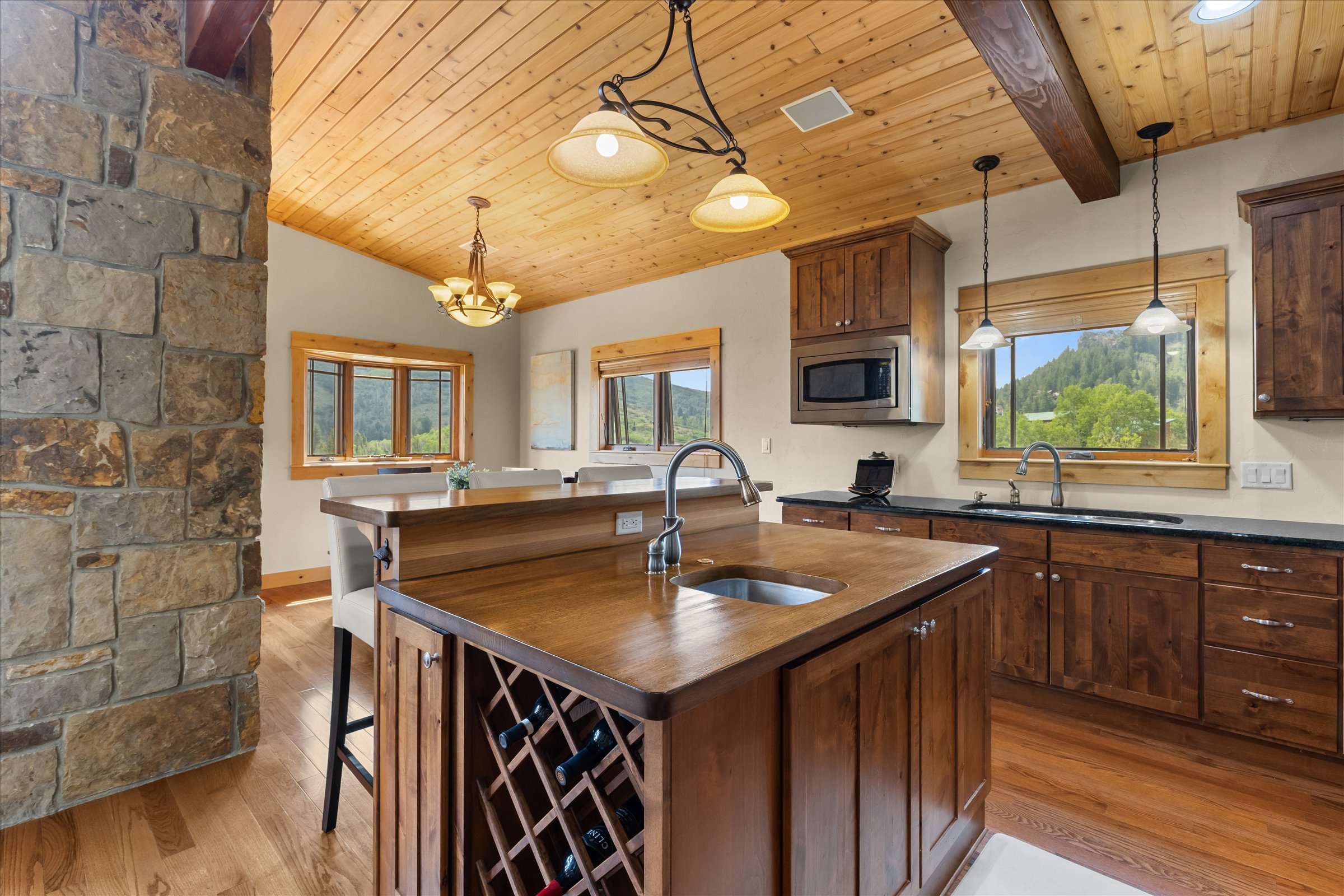 23020 Lynx Basin Lane, Oak Creek, CO 80467 - 物件實景