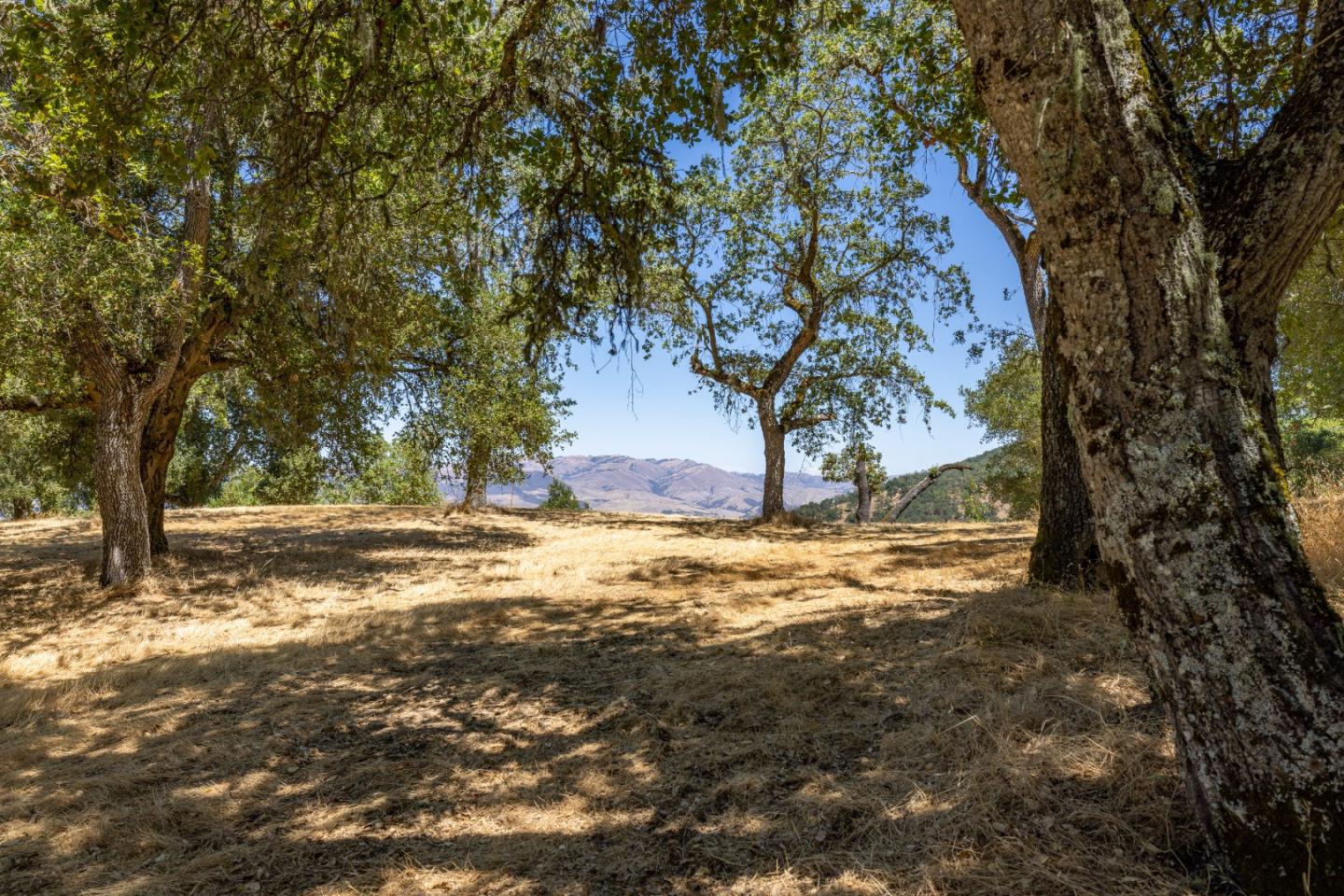 9 Long Ridge Trl, Carmel, California, 93923, United States, ,Land,For Sale,9 Long Ridge Trl,1663124