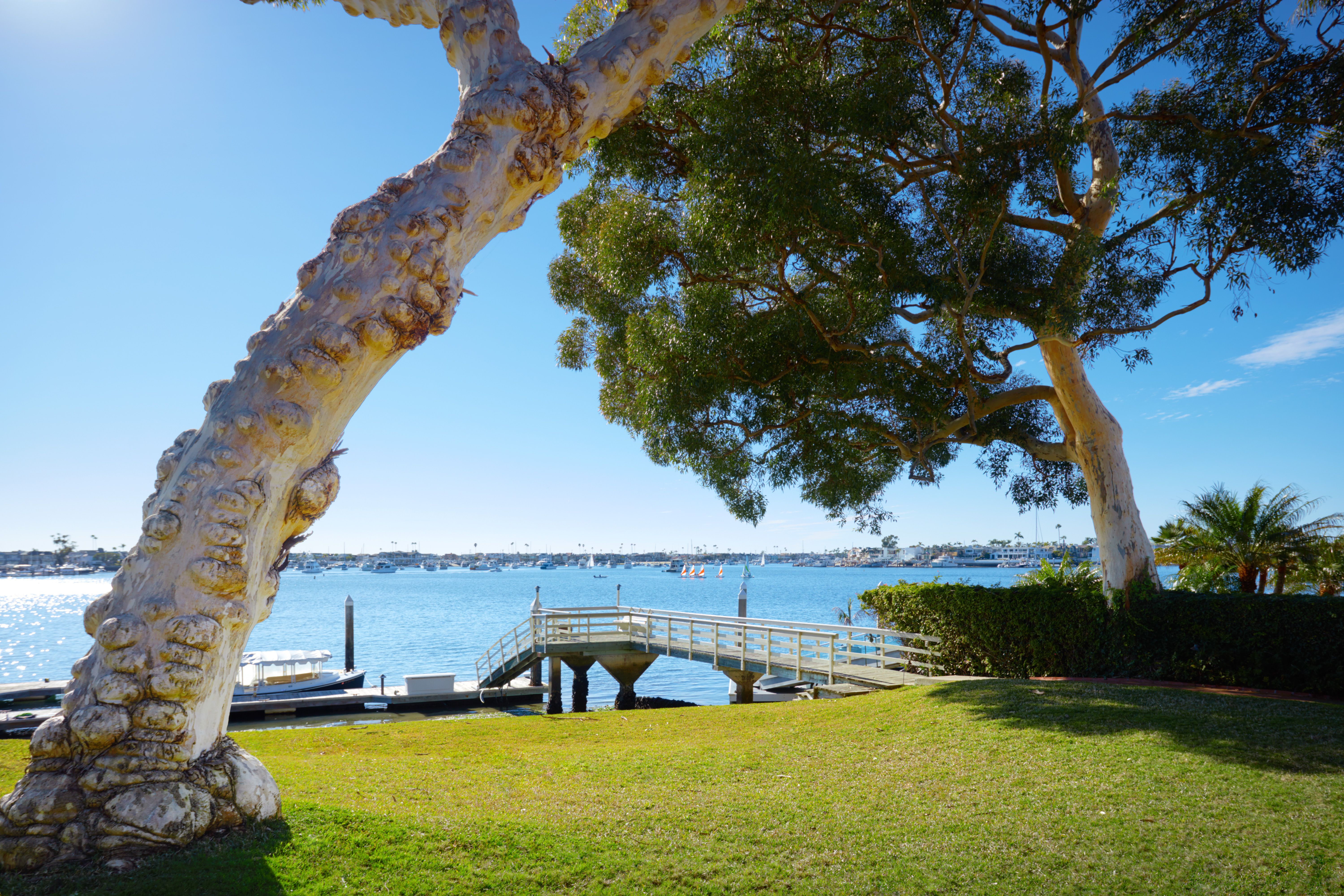  20 Harbor Island, Newport Beach, CA 92660 - 物件實景