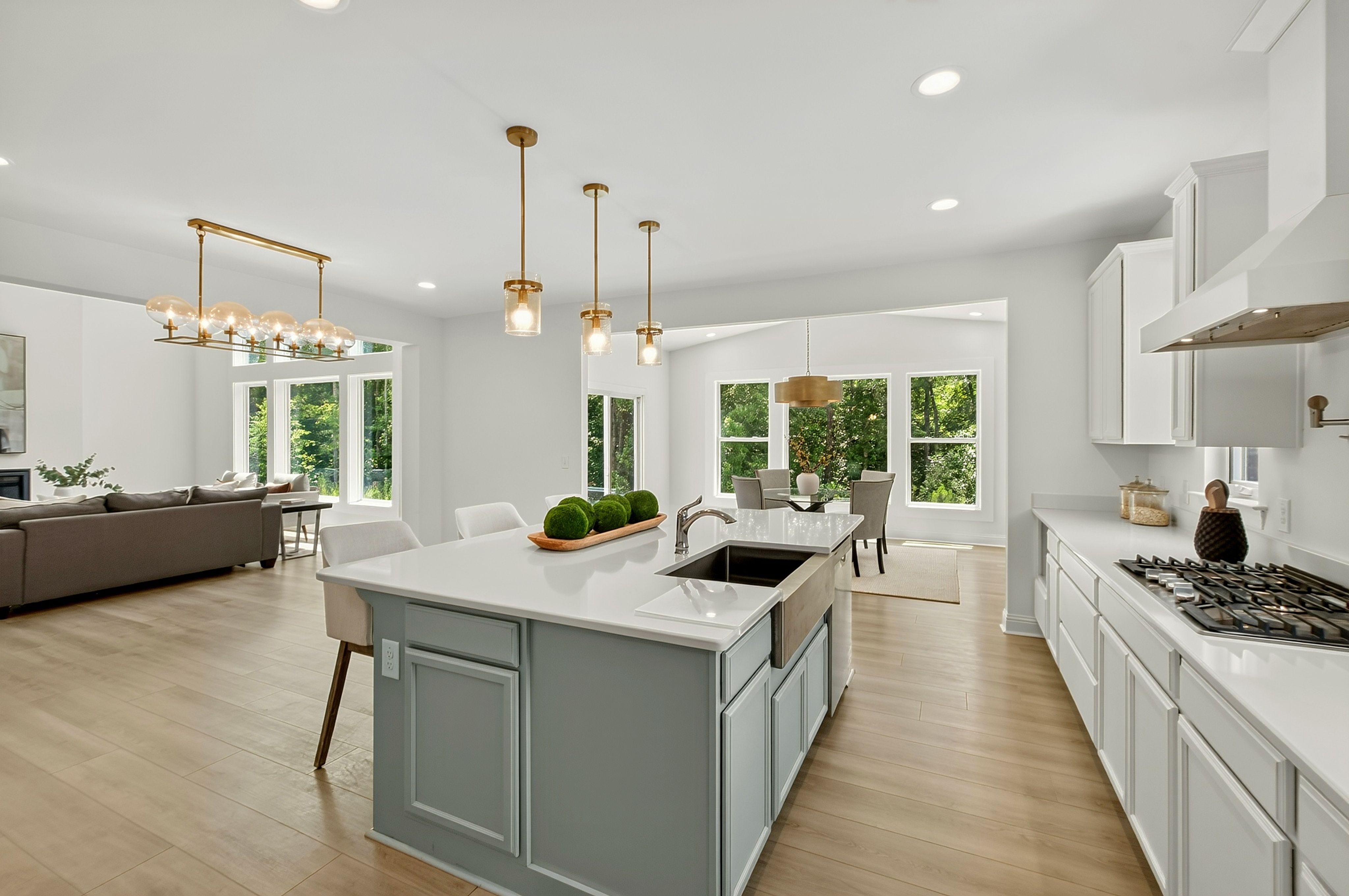  197 Silverside Drive, Angier, NC 27501 - 物件實景