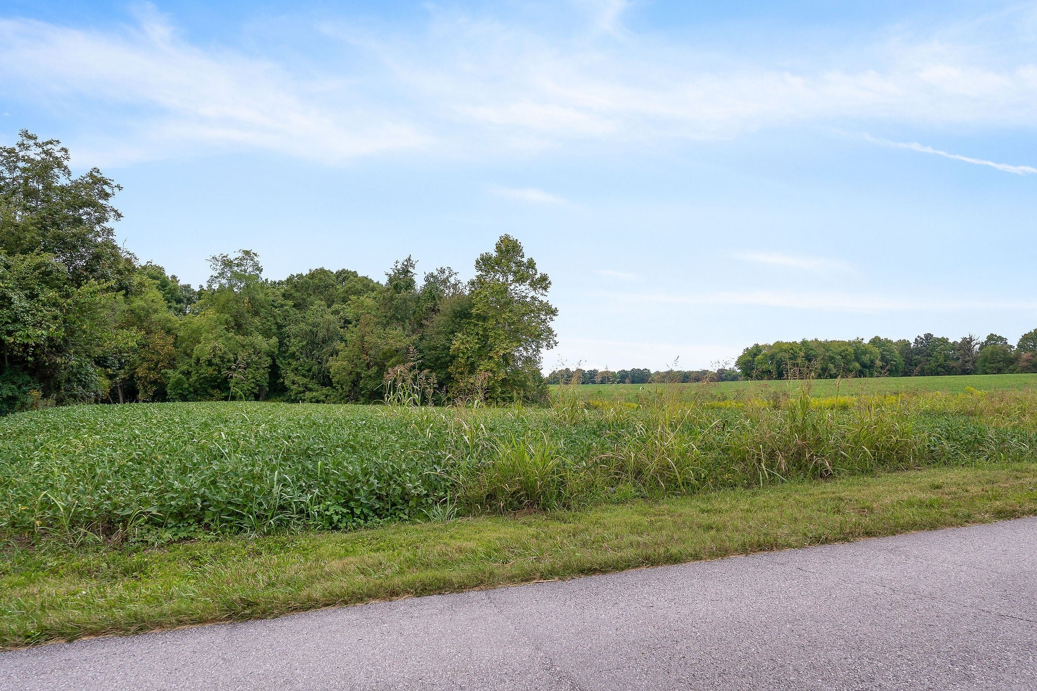 Smithville, Tennessee, 37166, United States, ,Residential,For Sale,2006609