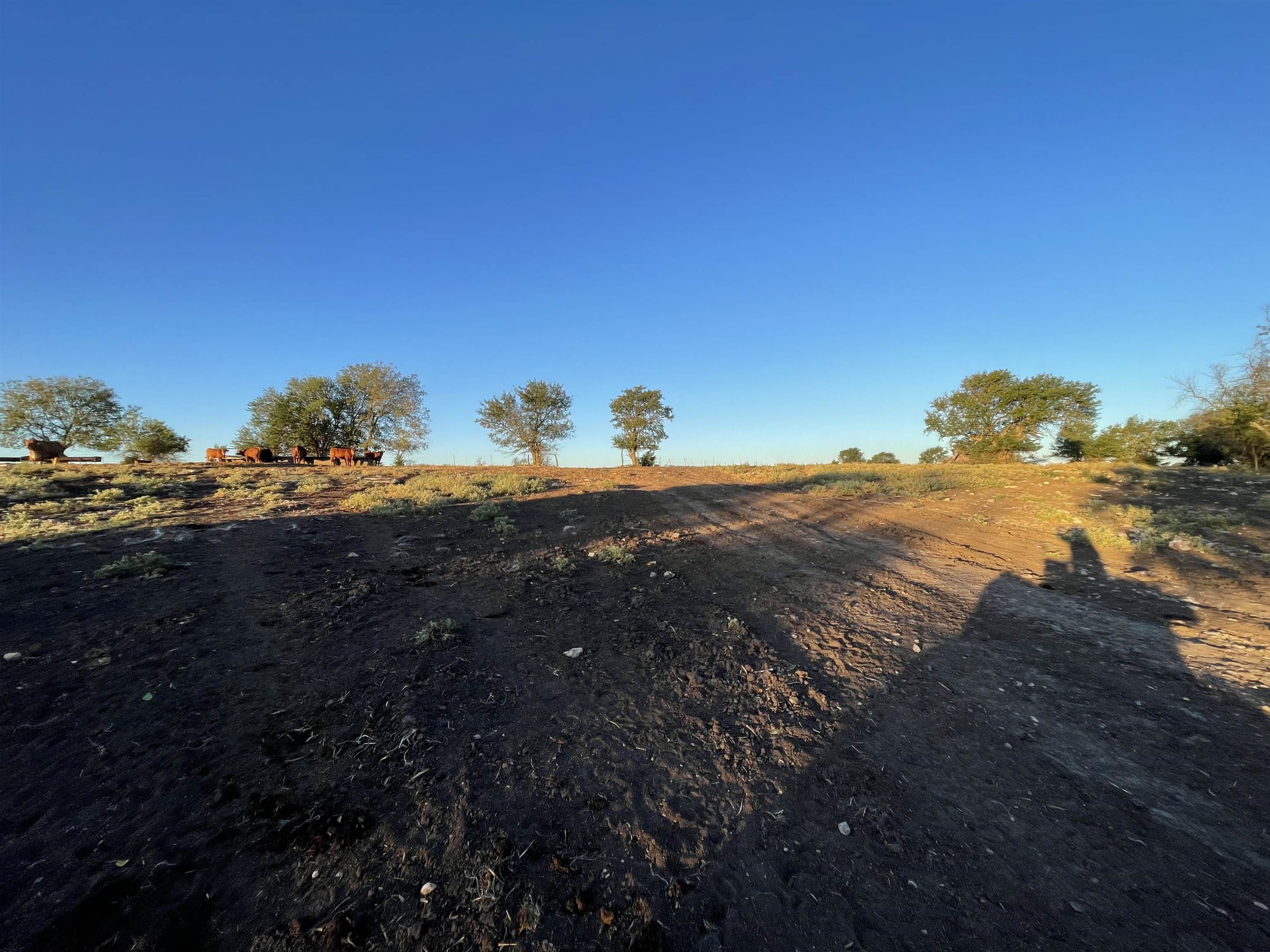 00000 SW Hwy 77, El Dorado, Kansas, 67042, United States, ,Residential,For Sale,00000 SW Hwy 77,1419987