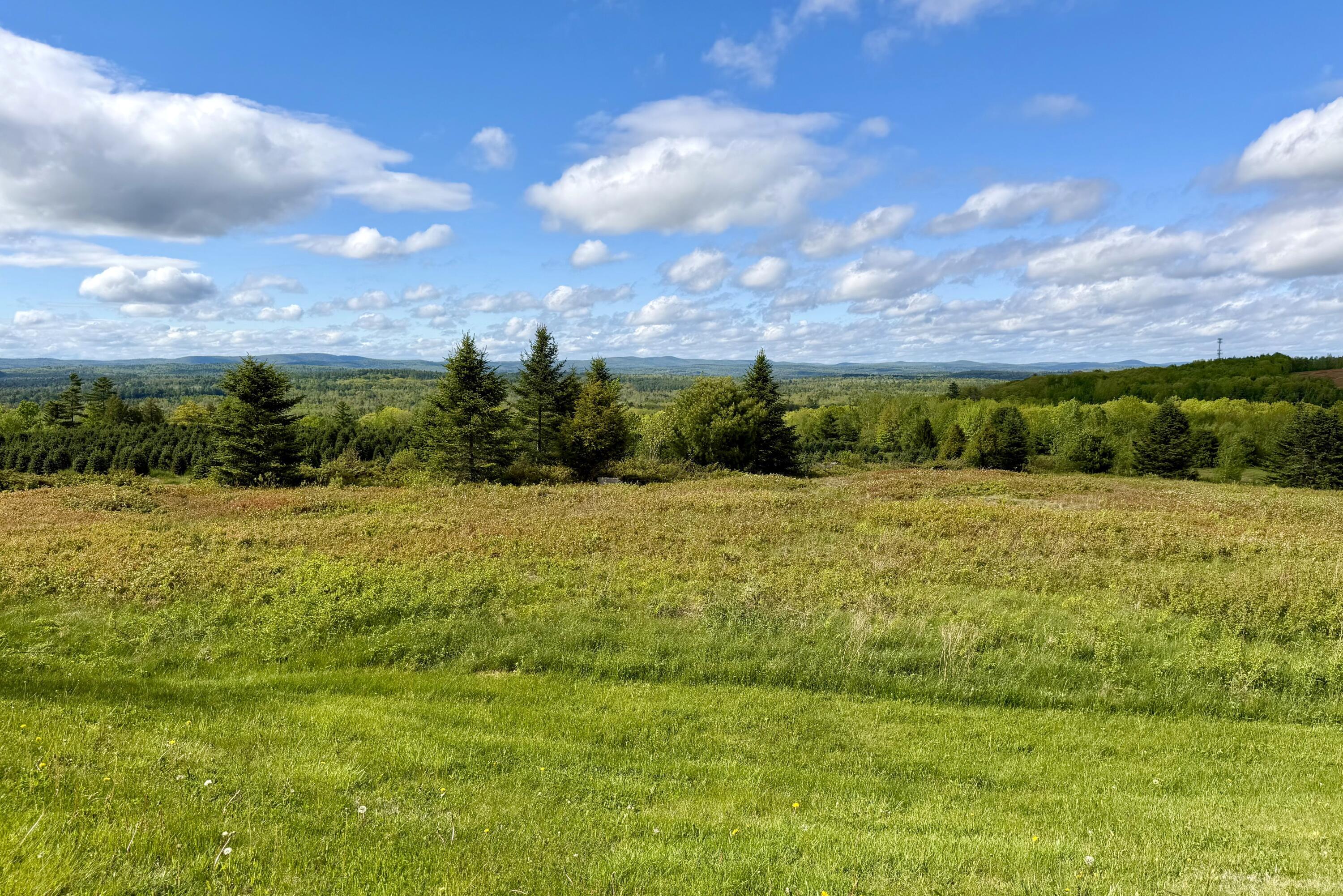  297 Appleton Ridge Road - 物件實景