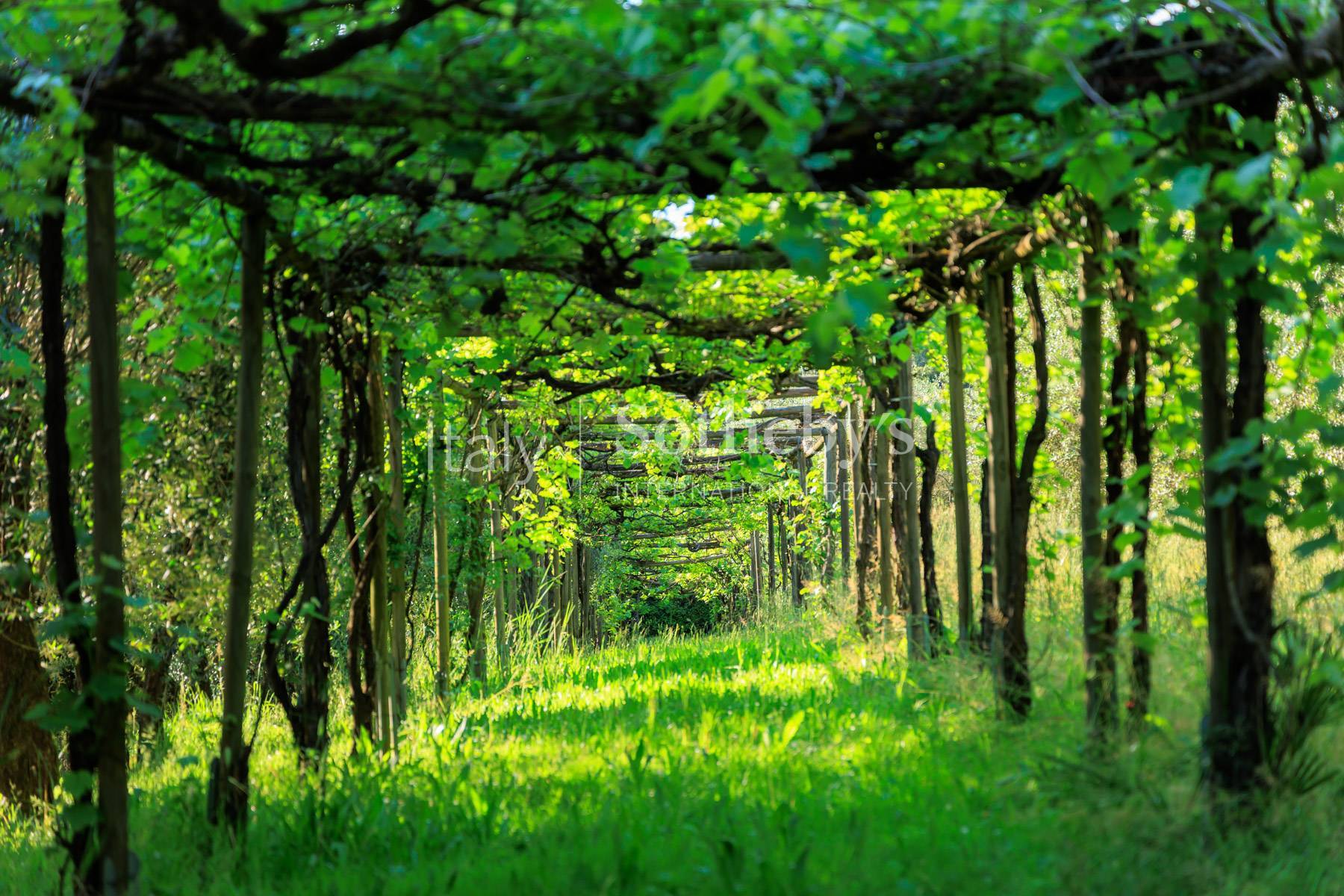  Prestigious historic residence set in a magnificent park - 物件實景