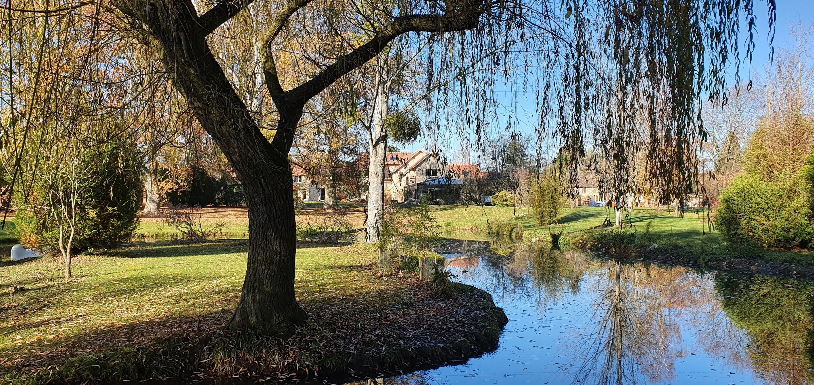  Private estate in the Rambouillet forest - 物件實景