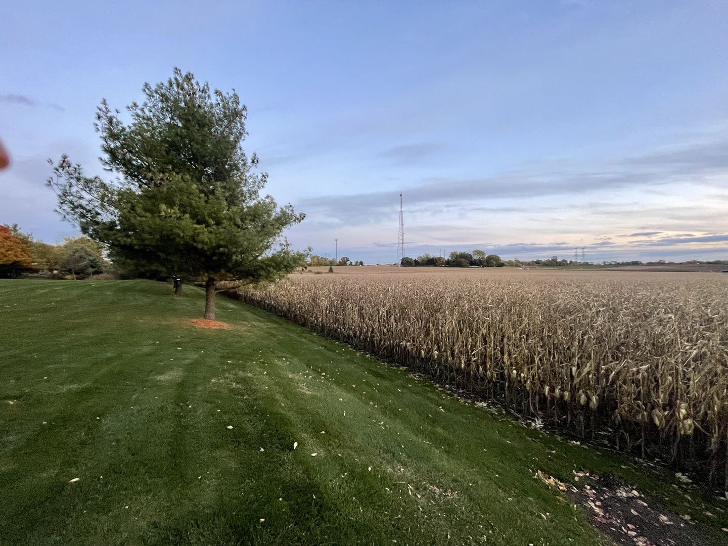 Mokena, Illinois, 60448, United States, ,Residential,For Sale,1869367