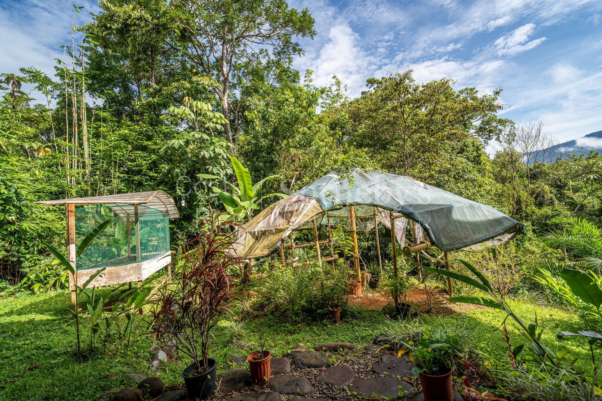  Dominical Yoga Retreat and Nature Reserve - 物件實景