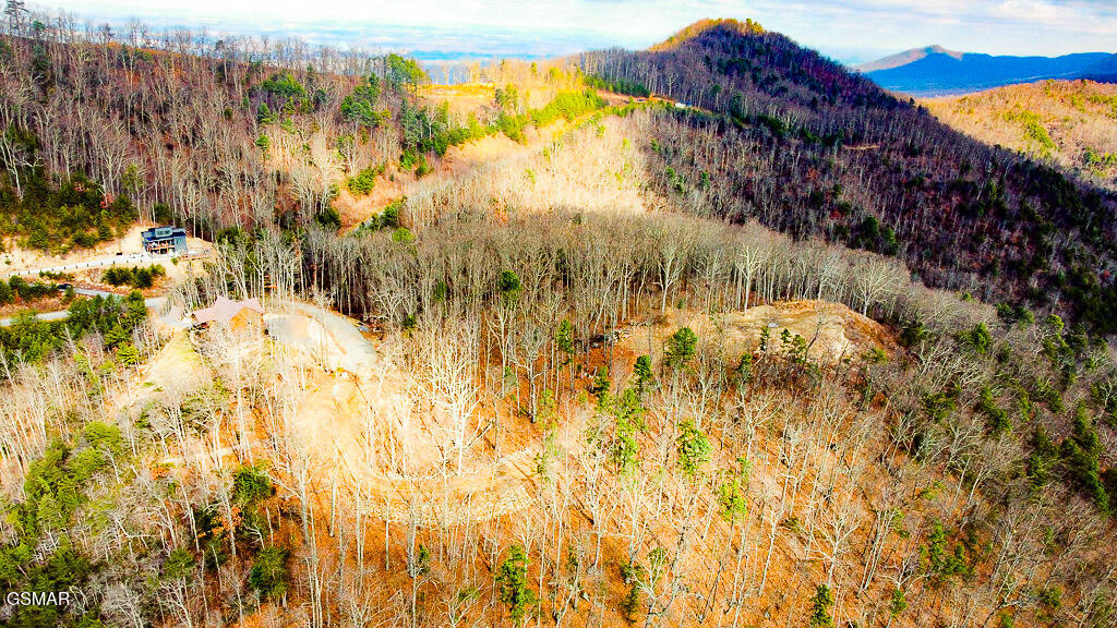 Sevierville, Tennessee, 37876, United States, ,Land,For Sale,2008093