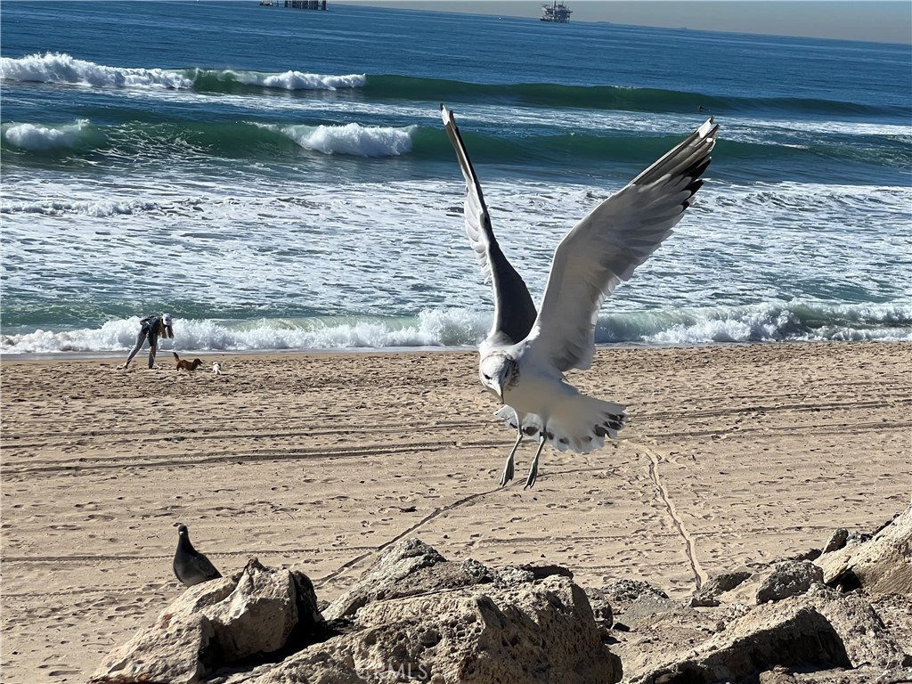 Huntington Beach, California, 92646, United States, 4 Bedrooms Bedrooms, ,3 BathroomsBathrooms,Residential,For Sale,1912576