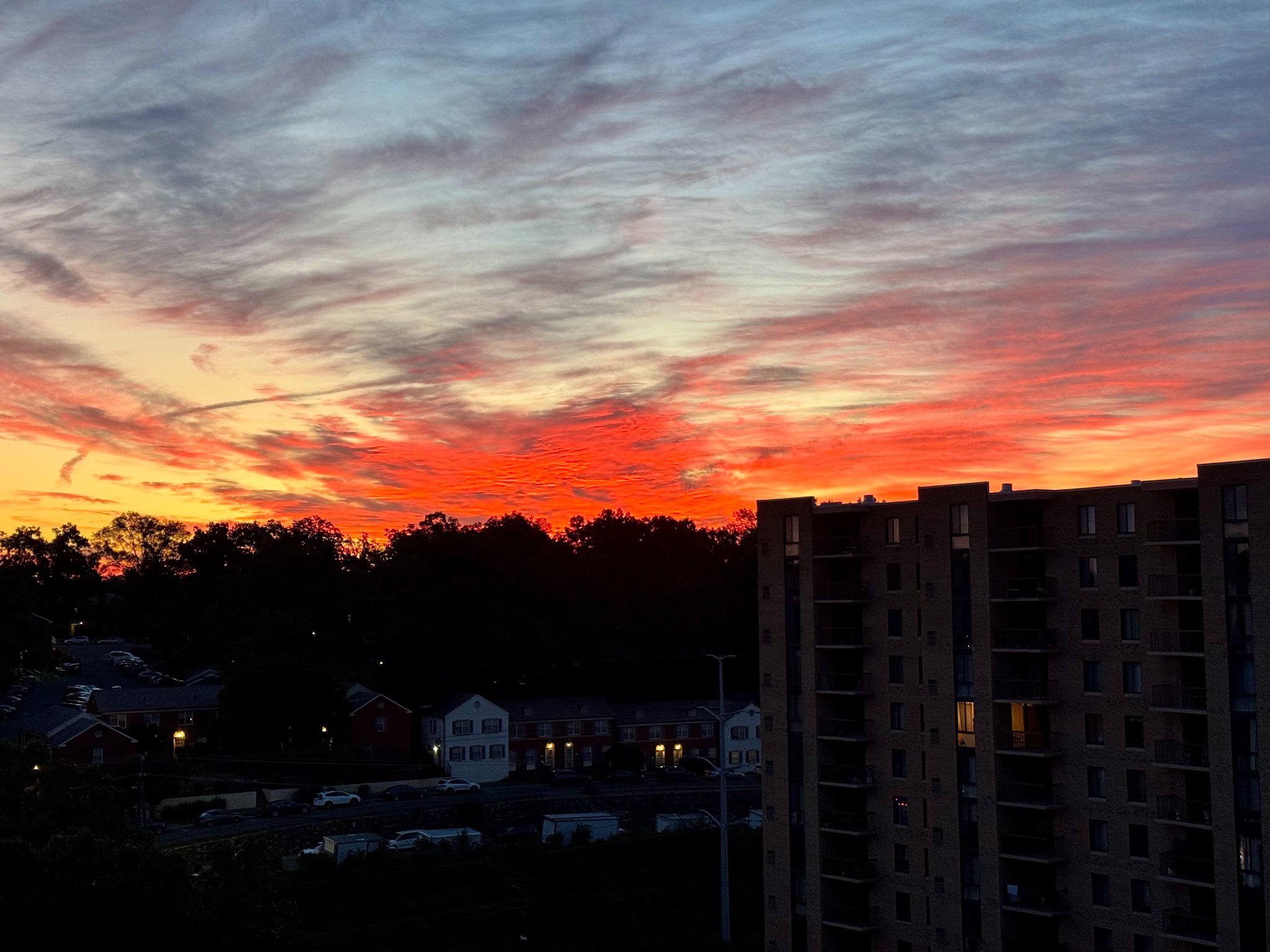  4600 S Four Mile Run Drive, Arlington, VA, 22204 - 物件實景