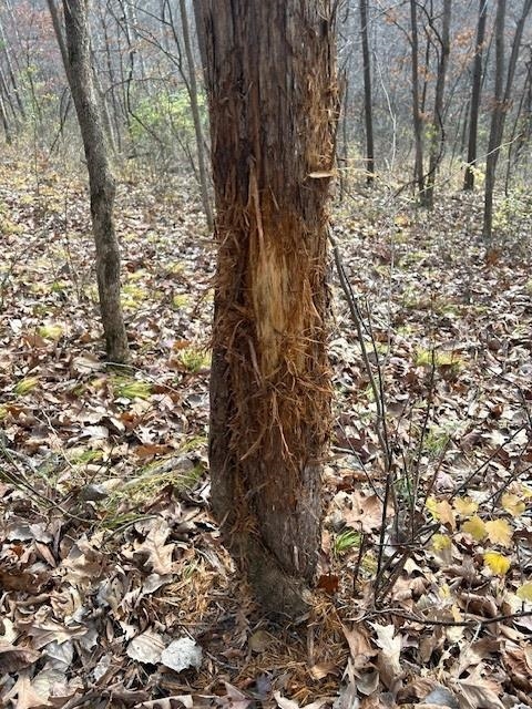 Muscoda, Wisconsin, 53573, United States, 3 Bedrooms Bedrooms, ,3 BathroomsBathrooms,Residential,For Sale,1990387