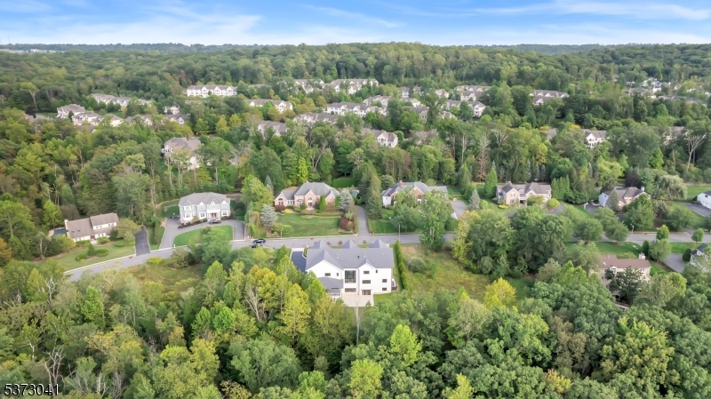 Livingston Twp., New Jersey, 07039, United States, 7 Bedrooms Bedrooms, ,9 BathroomsBathrooms,Residential,For Sale,1903454