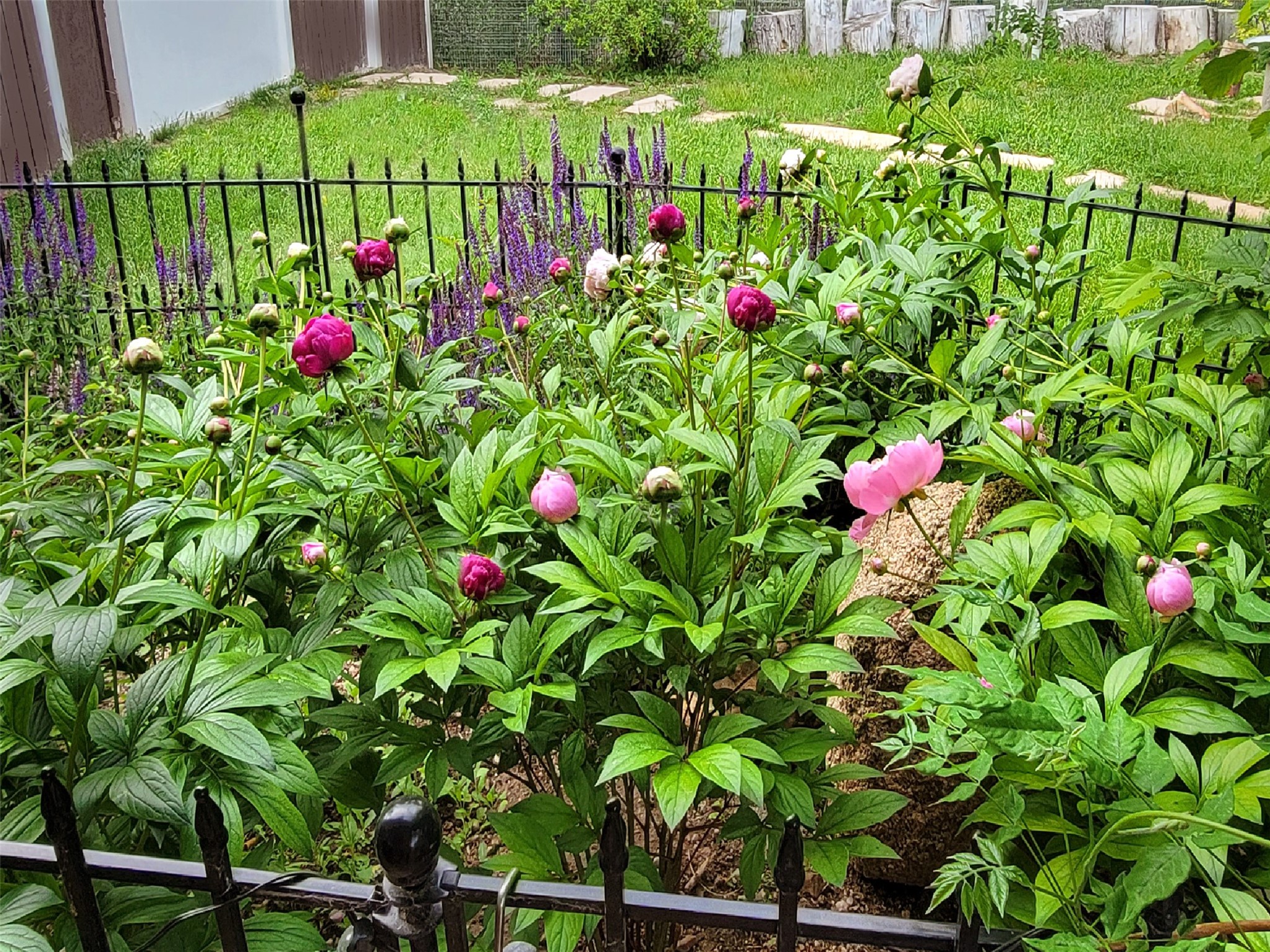  7 Camino De Pastores #A & #B - 物件實景