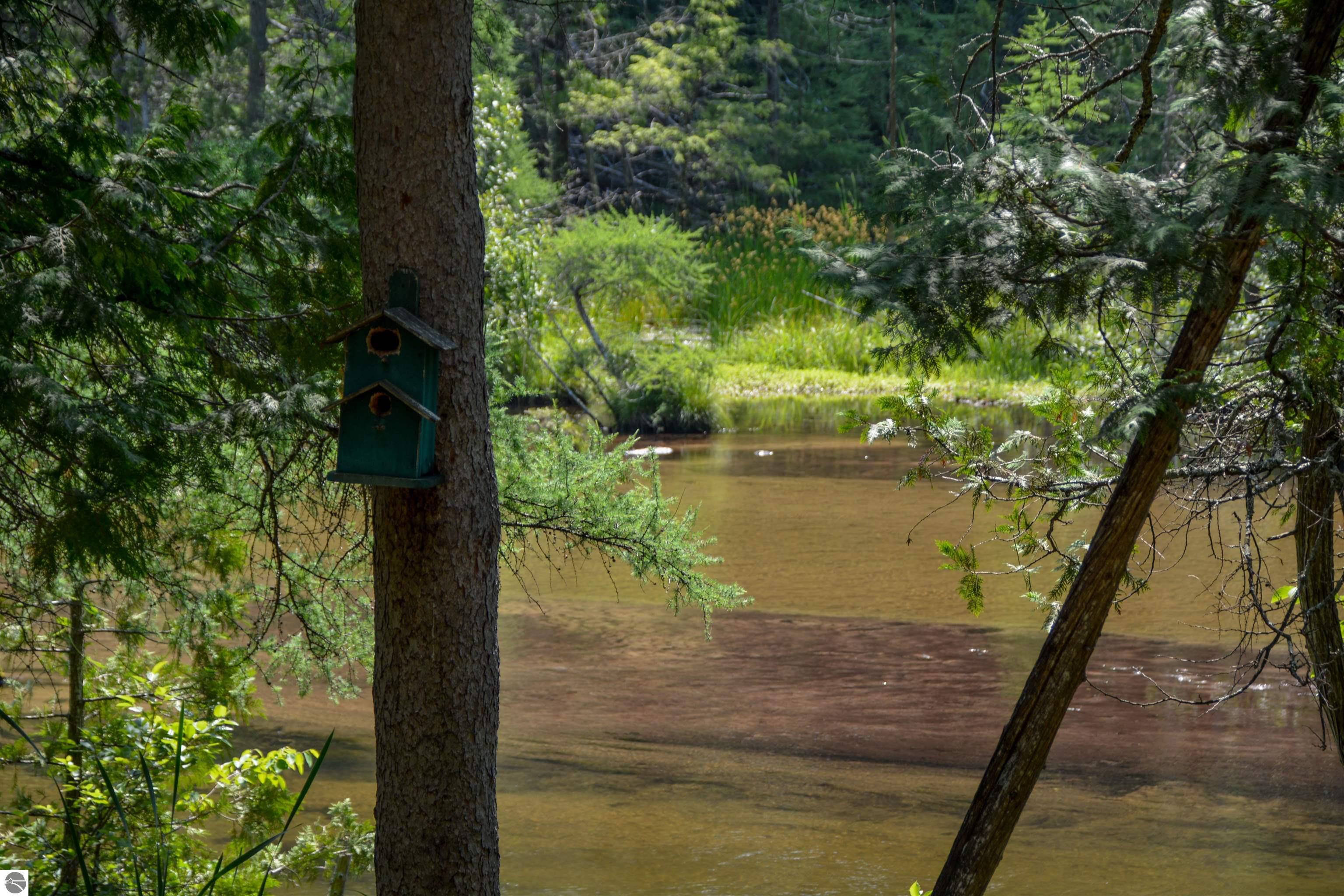 Rapid City, Michigan, 49676, United States, 1 Bedroom Bedrooms, ,Residential,For Sale,1960955