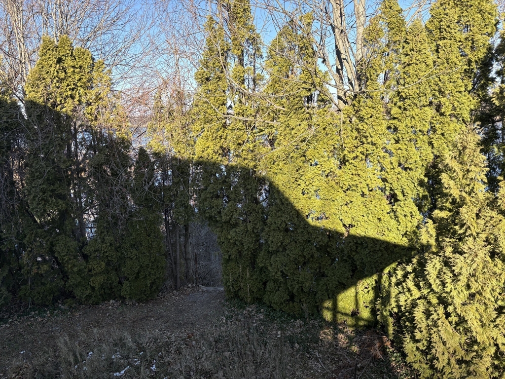 Barrington, Rhode Island, 02806, United States, ,Land,For Sale,1991246