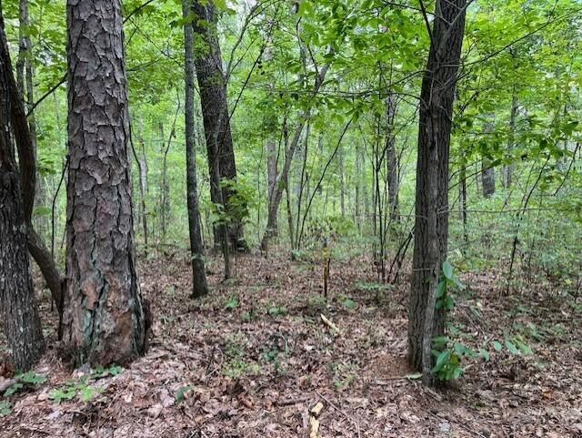 Graysville, Tennessee, 37338, United States, ,Residential,For Sale,1943907