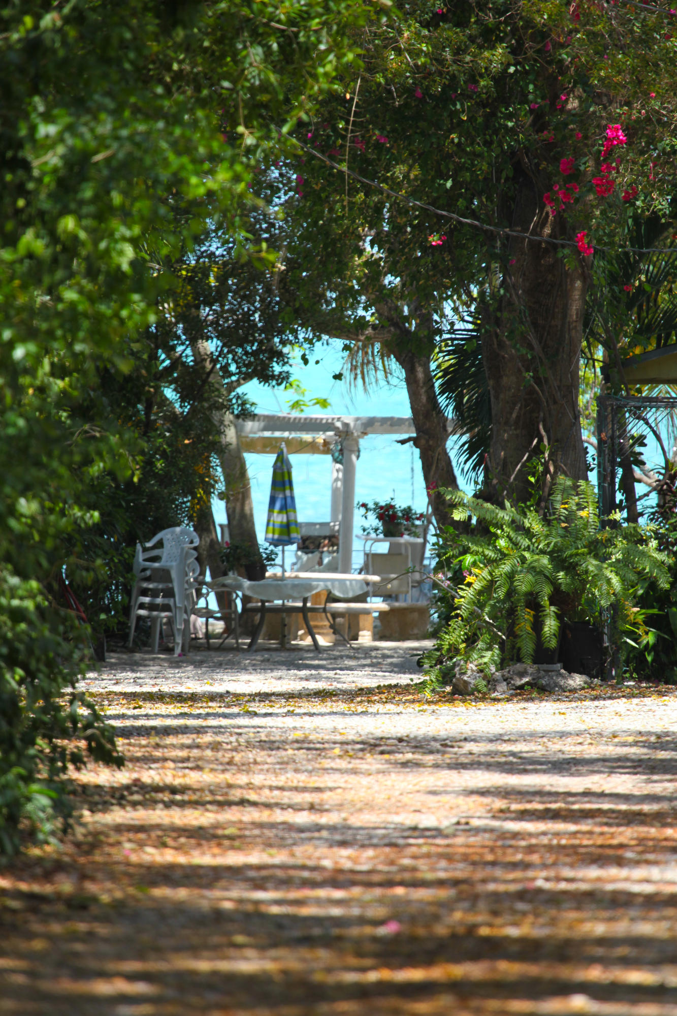 KEY LARGO, Florida, 33037, United States, 10 Bedrooms Bedrooms, ,9 BathroomsBathrooms,Residential,For Sale,1759223