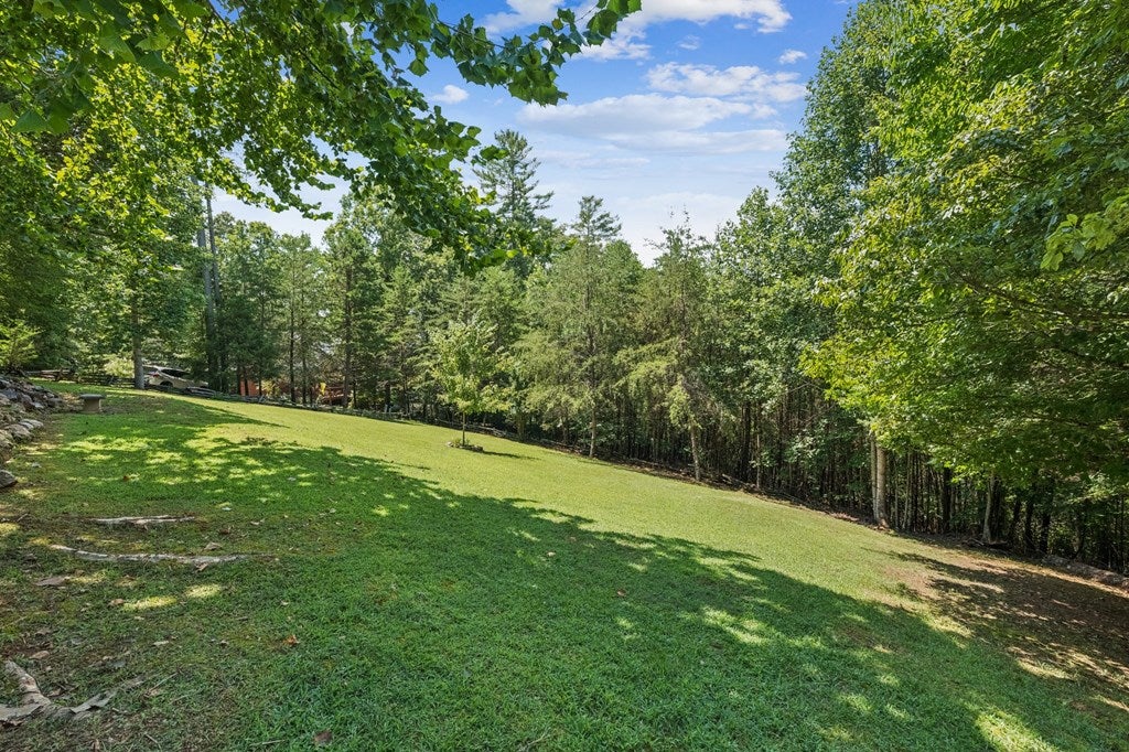 Morganton, Georgia, 30560, United States, 3 Bedrooms Bedrooms, ,3 BathroomsBathrooms,Residential,For Sale,1905378