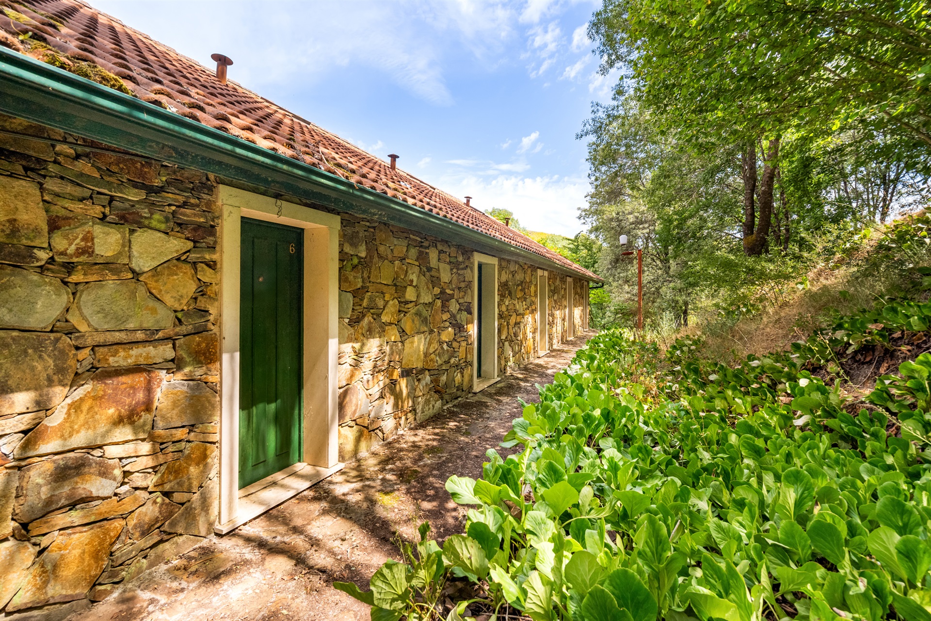  Farm, 5 bedrooms, for Sale - 物件實景