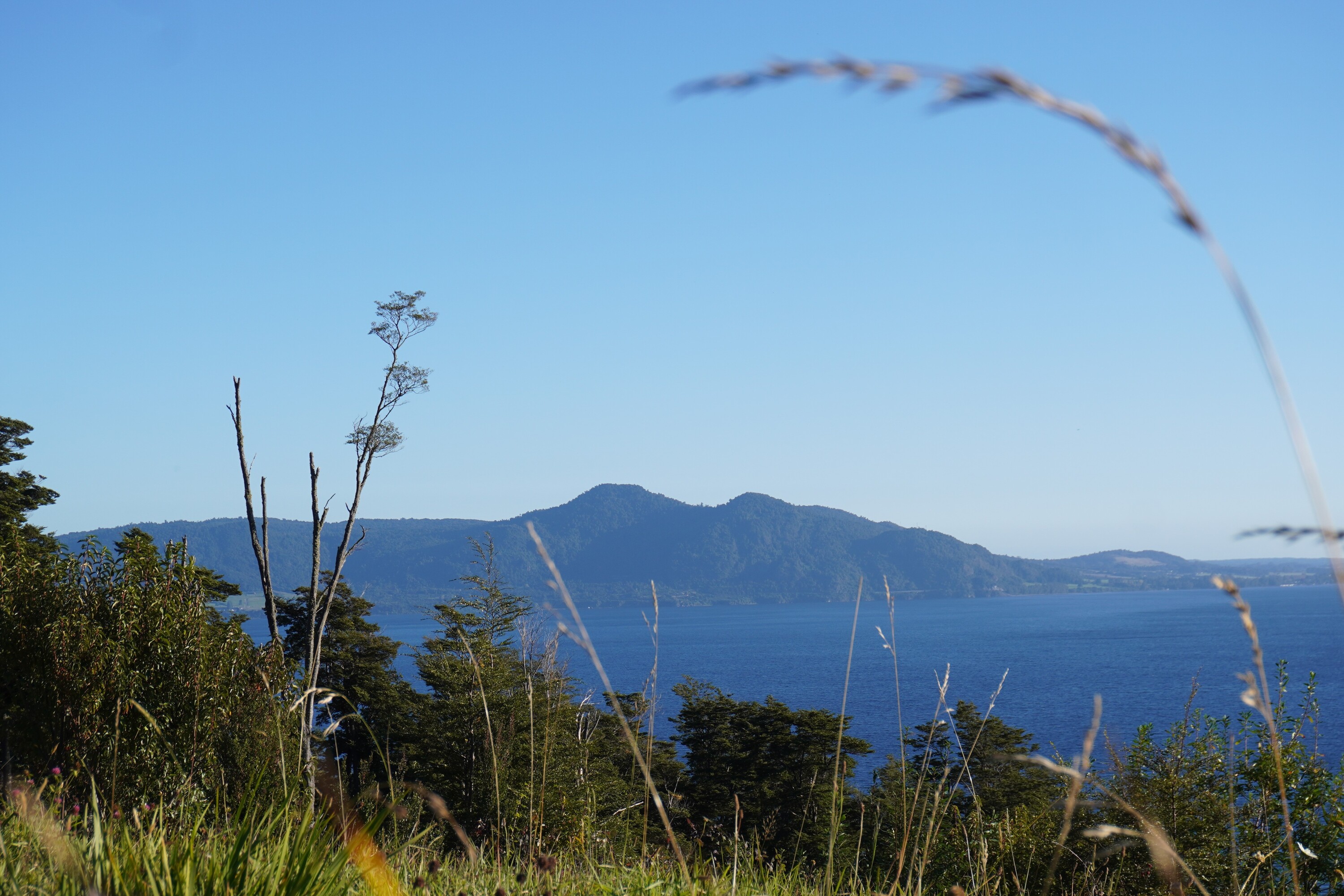  Cascadas 655 - 物件實景