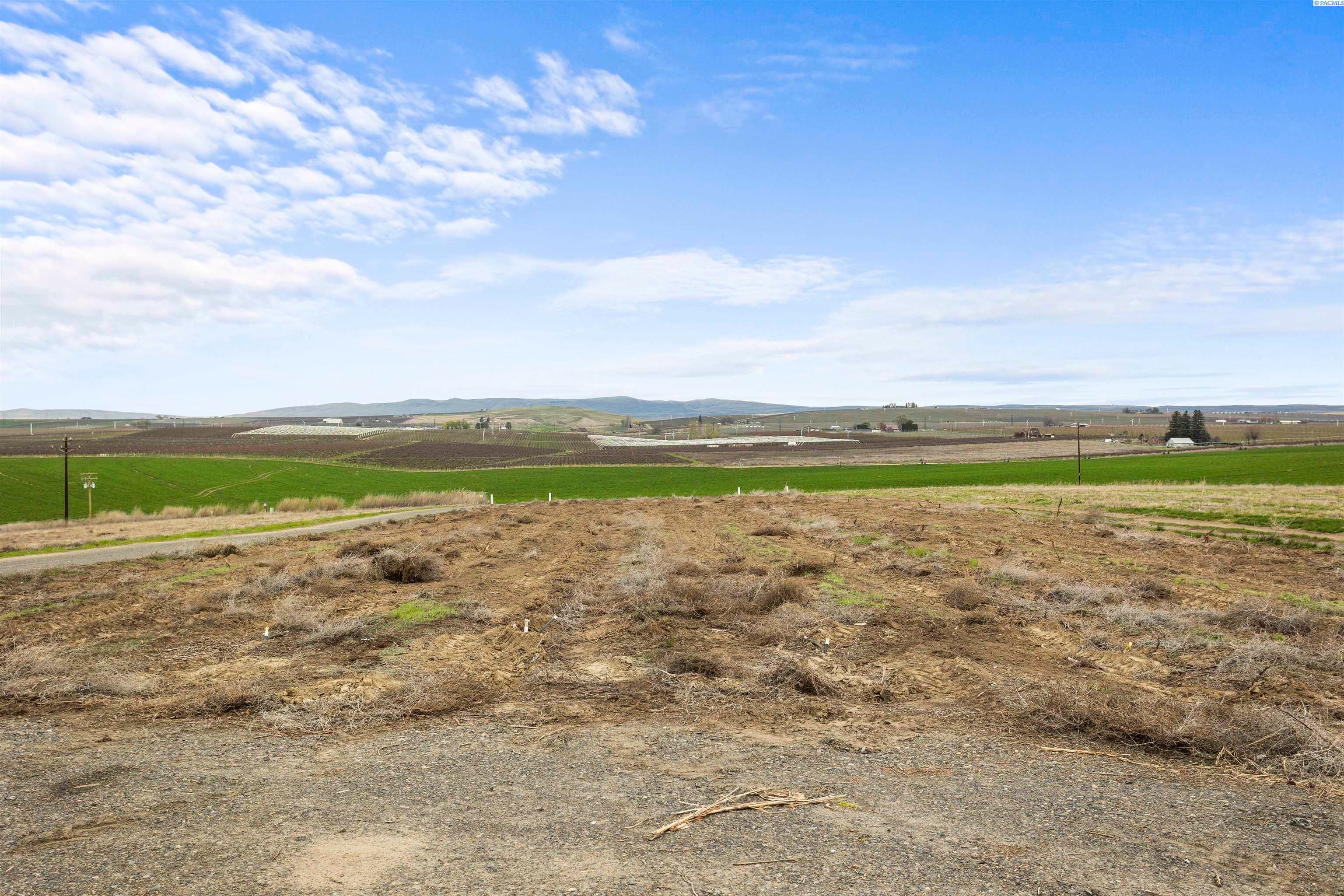 Prosser, Washington, 99350, United States, ,Residential,For Sale,1979081