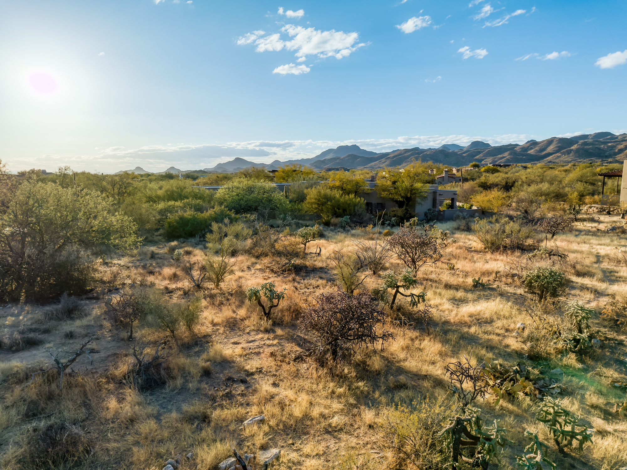  14191 N Giant Saguaro Place¦Oro Valley, AZ - 物件實景