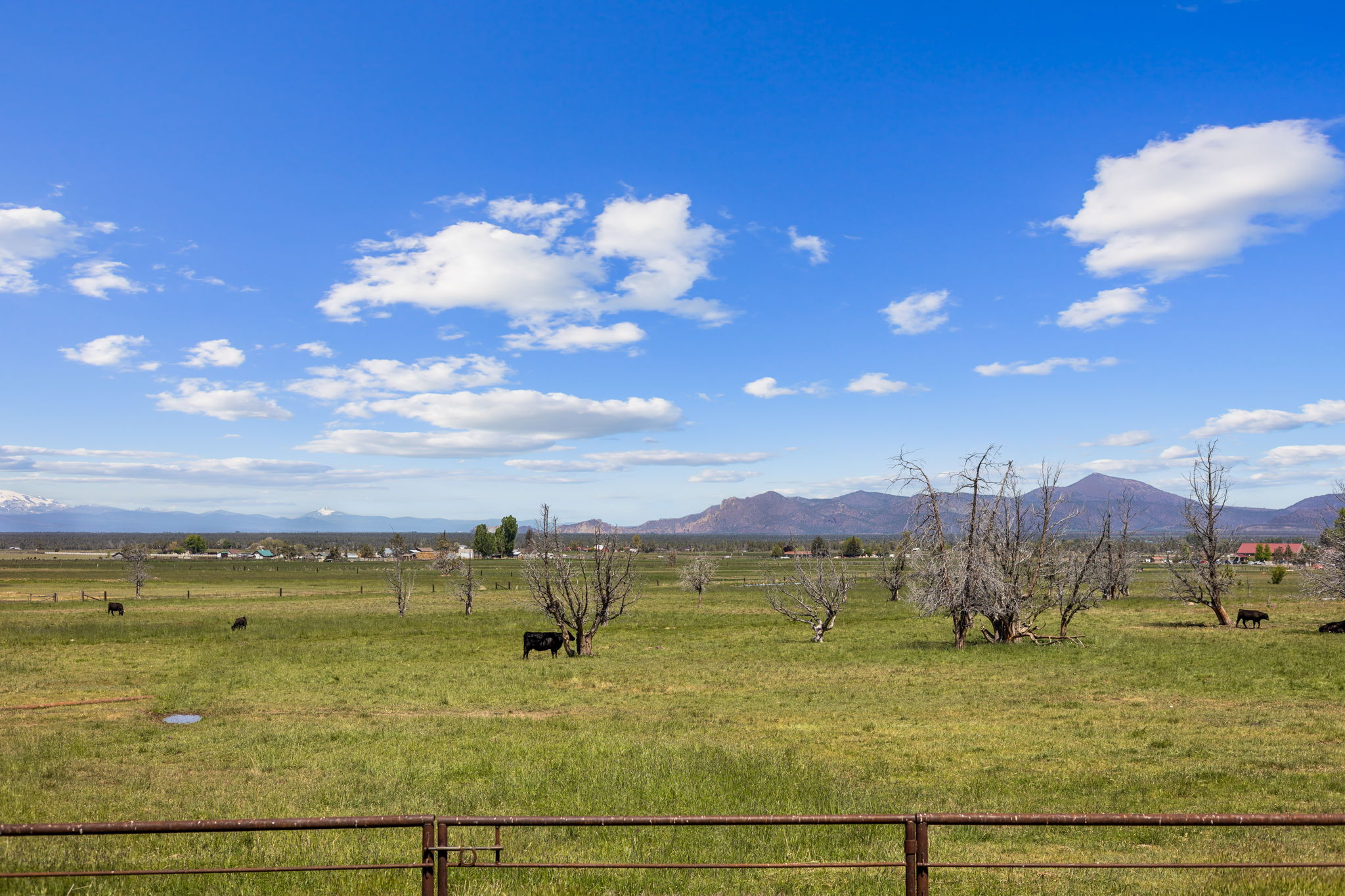 13501 SW Riggs Rd., Powell Butte, Oregon, 97753, United States, 3 Bedrooms Bedrooms, ,4 BathroomsBathrooms,Farm And Agriculture,For Sale,13501 SW Riggs Rd.,1623020