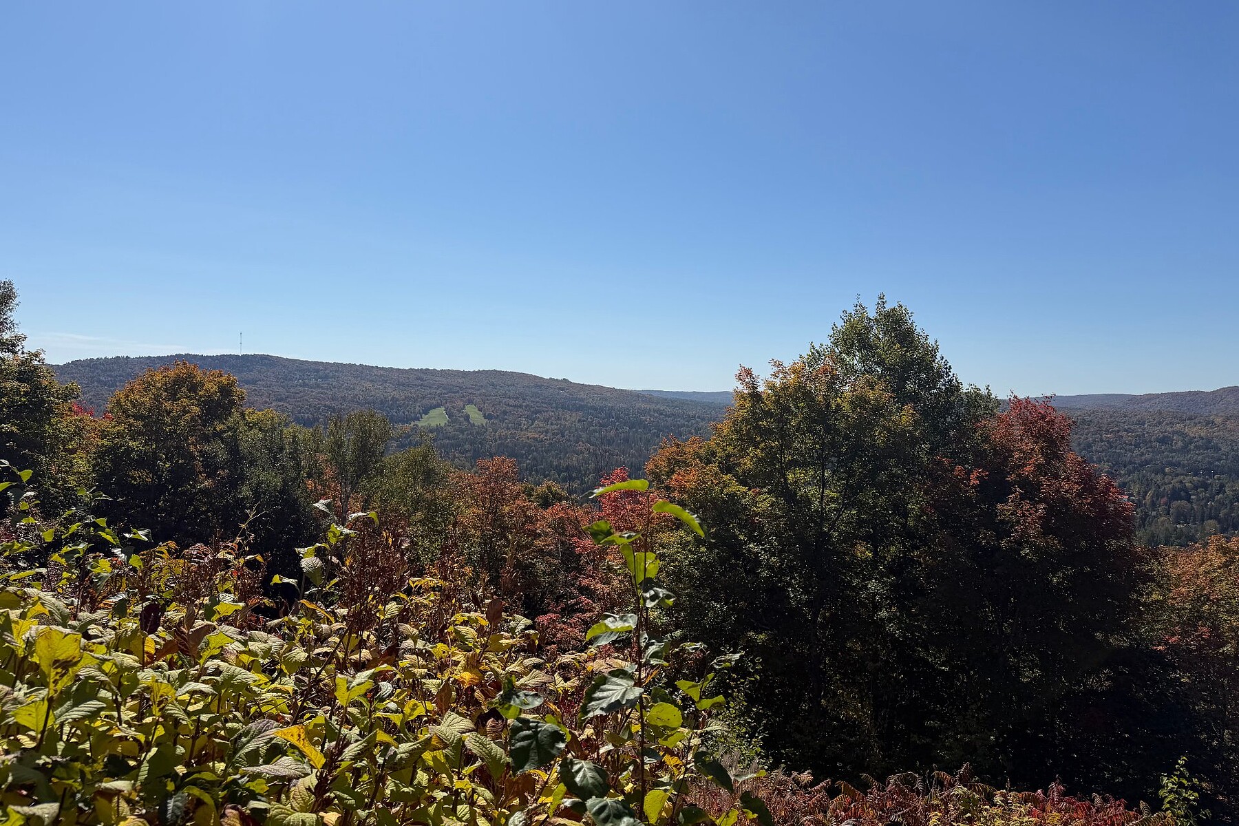  Morin-Heights, Laurentides - 物件實景