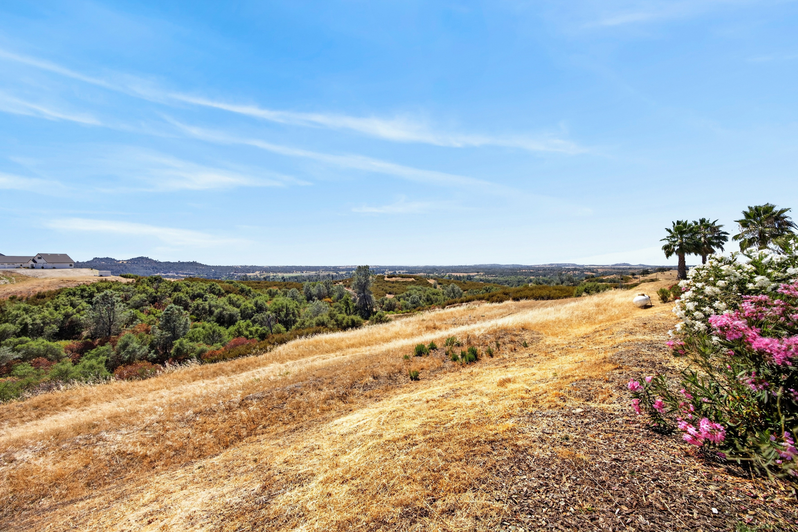  7630 Goose Hill Ranch Road, Ione, CA 95640 - 物件實景