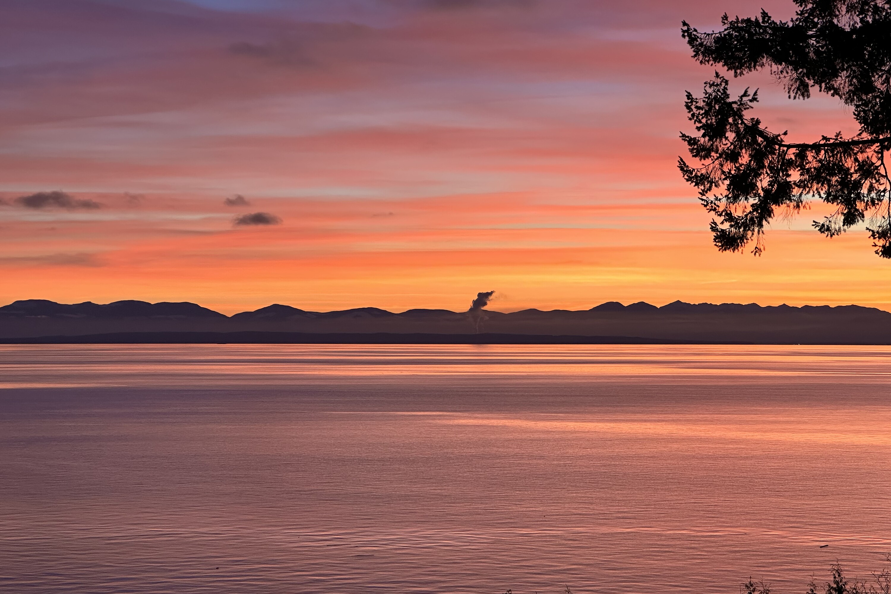  Roberts Creek, Sunshine Coast - 物件實景