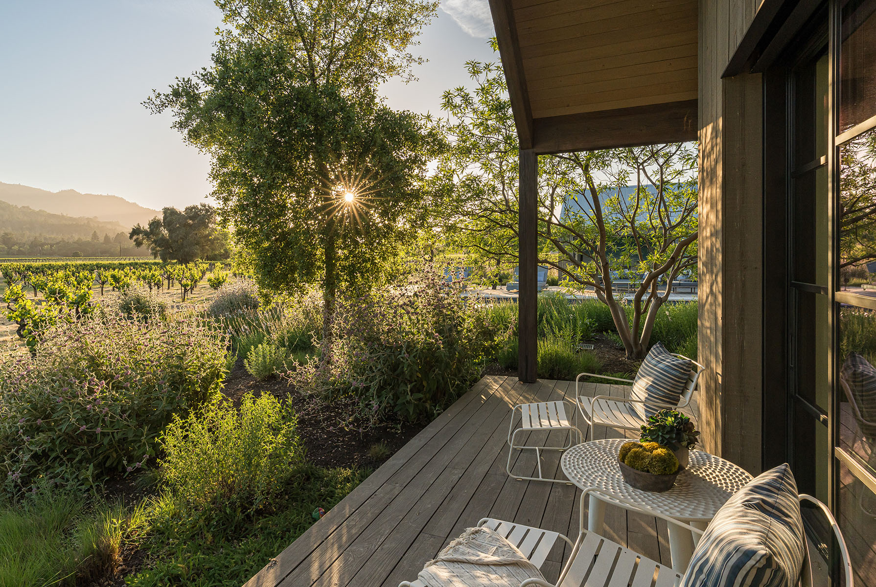 St. Helena, California, 94574, United States, 5 Bedrooms Bedrooms, ,8 BathroomsBathrooms,Residential,For Sale,1796446